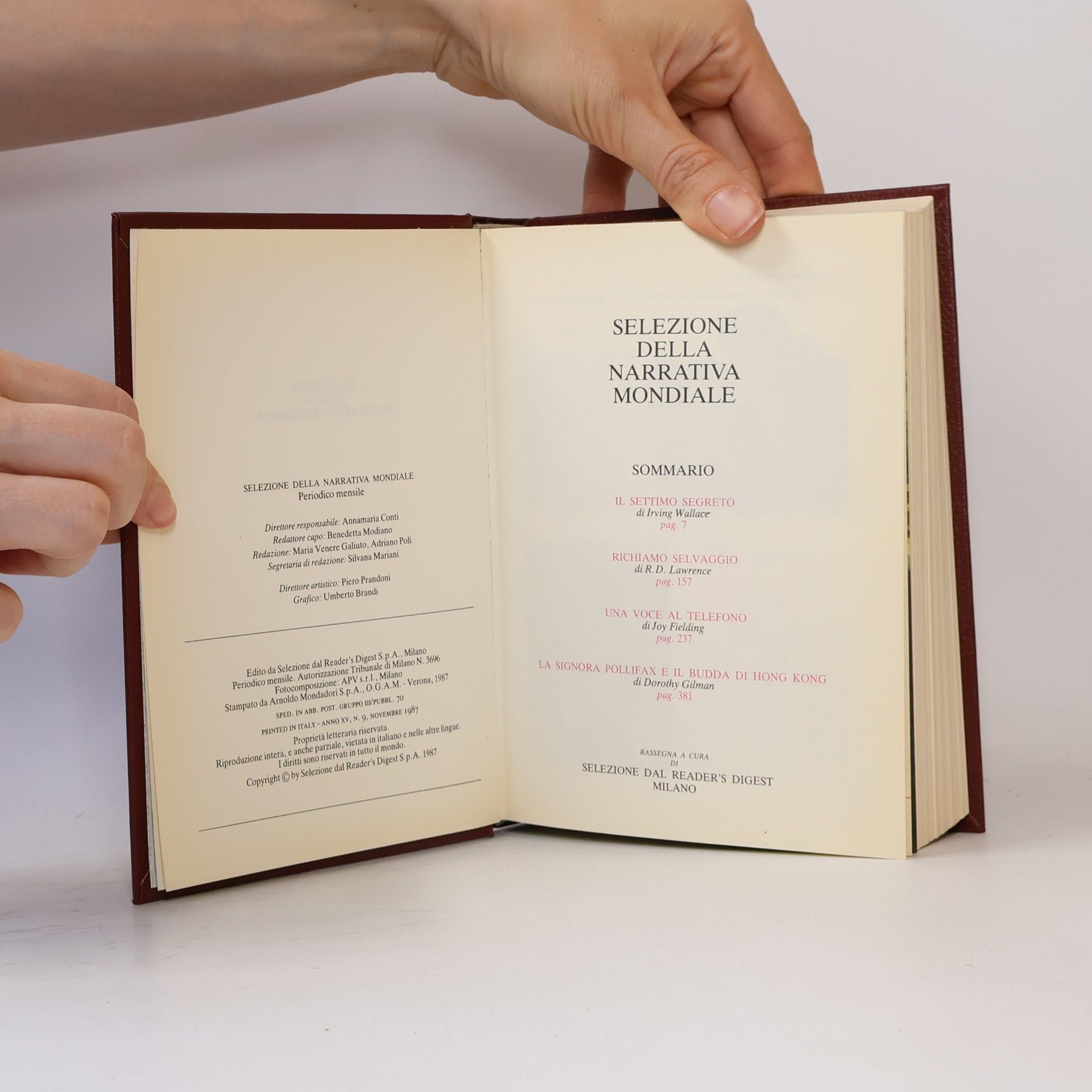 Autorenkollektiv Selezione della narrativa mondiale