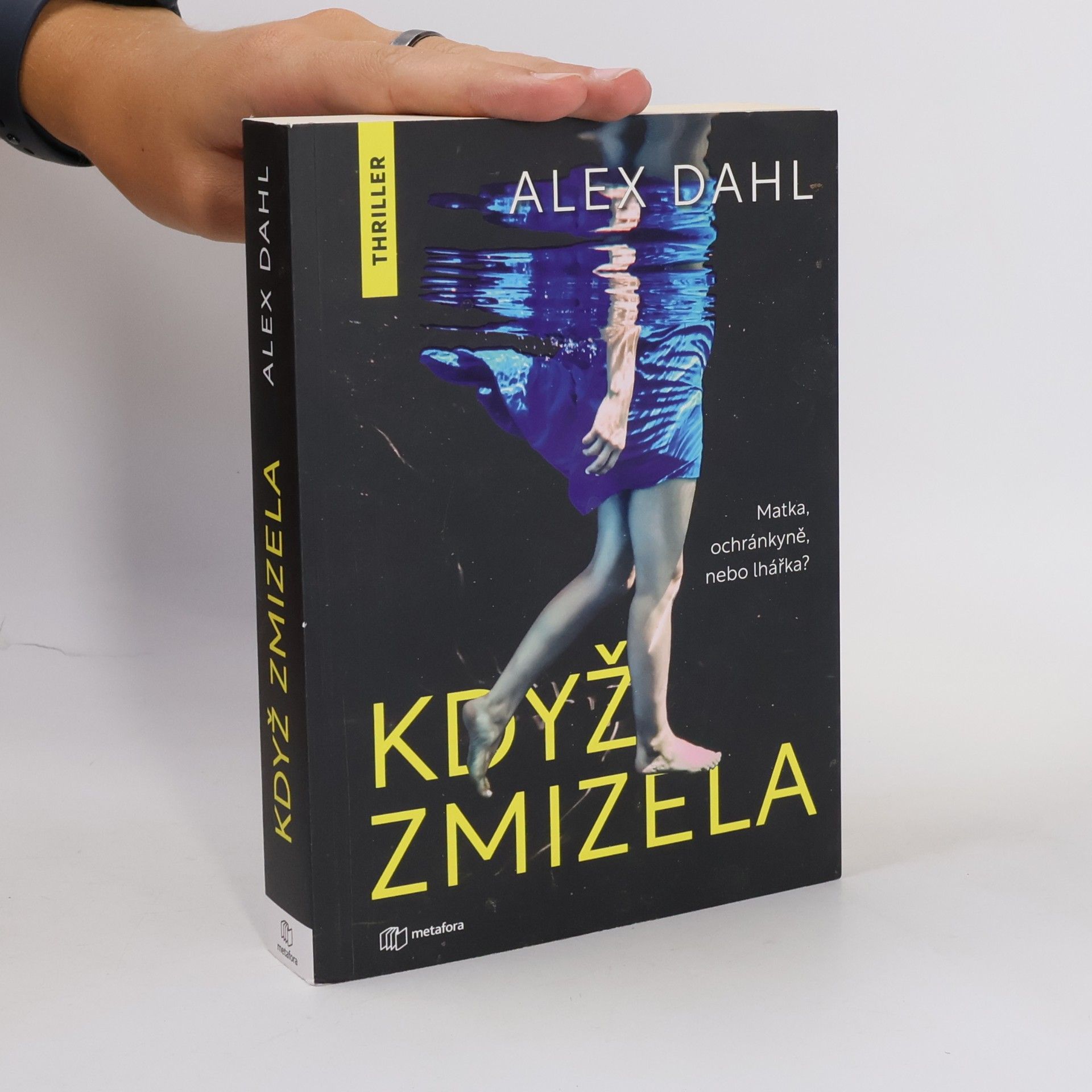 Alex Dahl Když zmizela