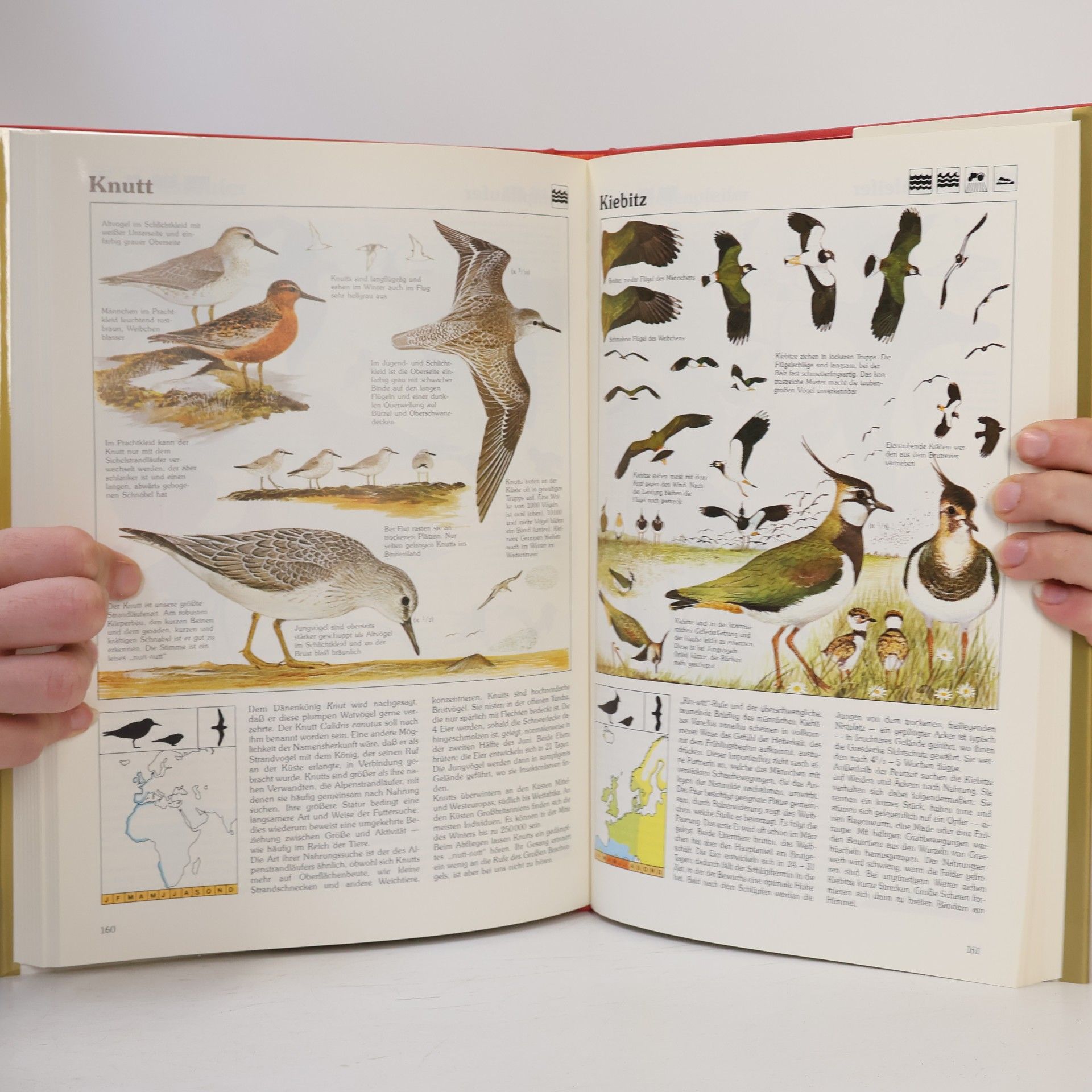 Peter Hayman Das goldene Kosmos-Vogelbuch