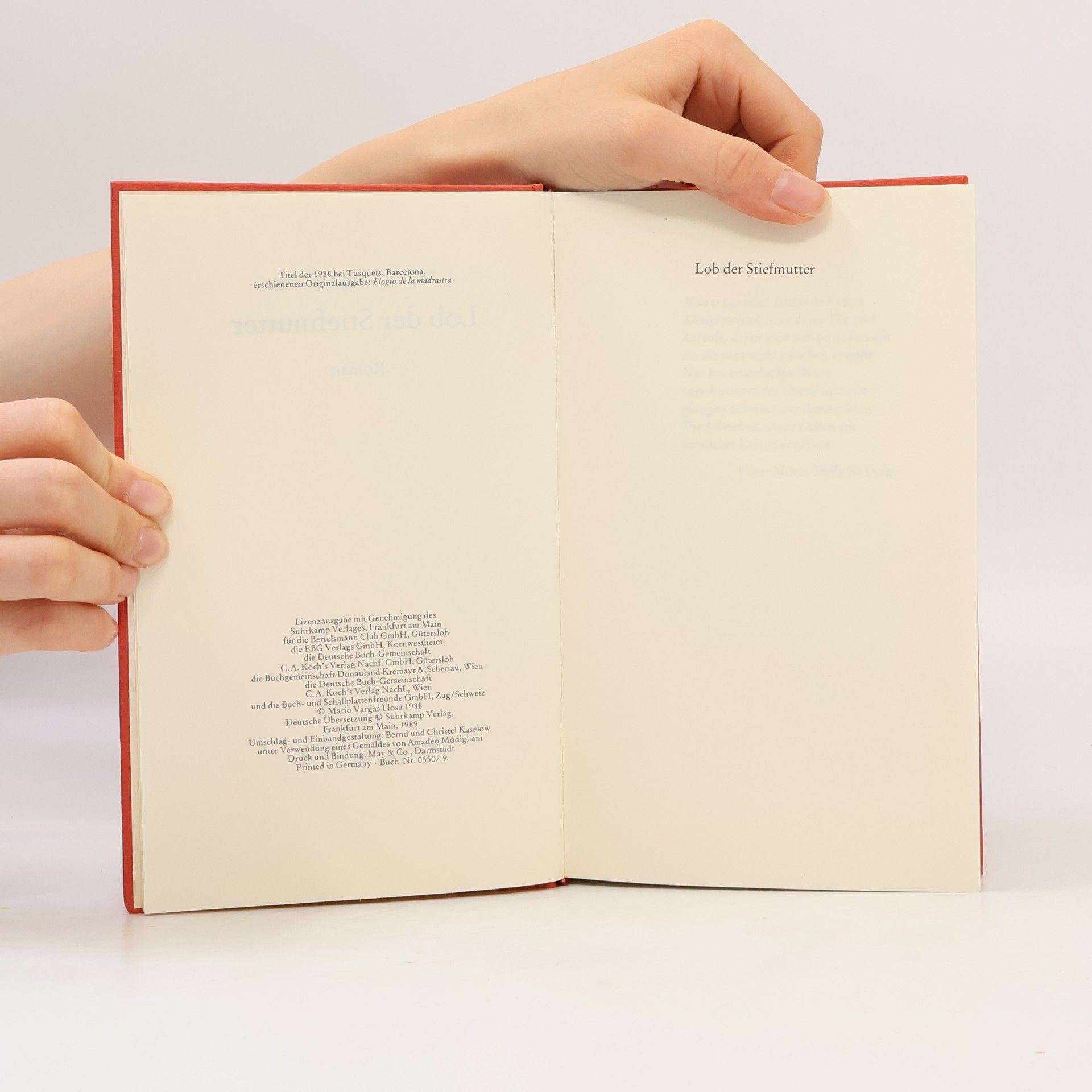 Mario Vargas Llosa Lob der Stiefmutter