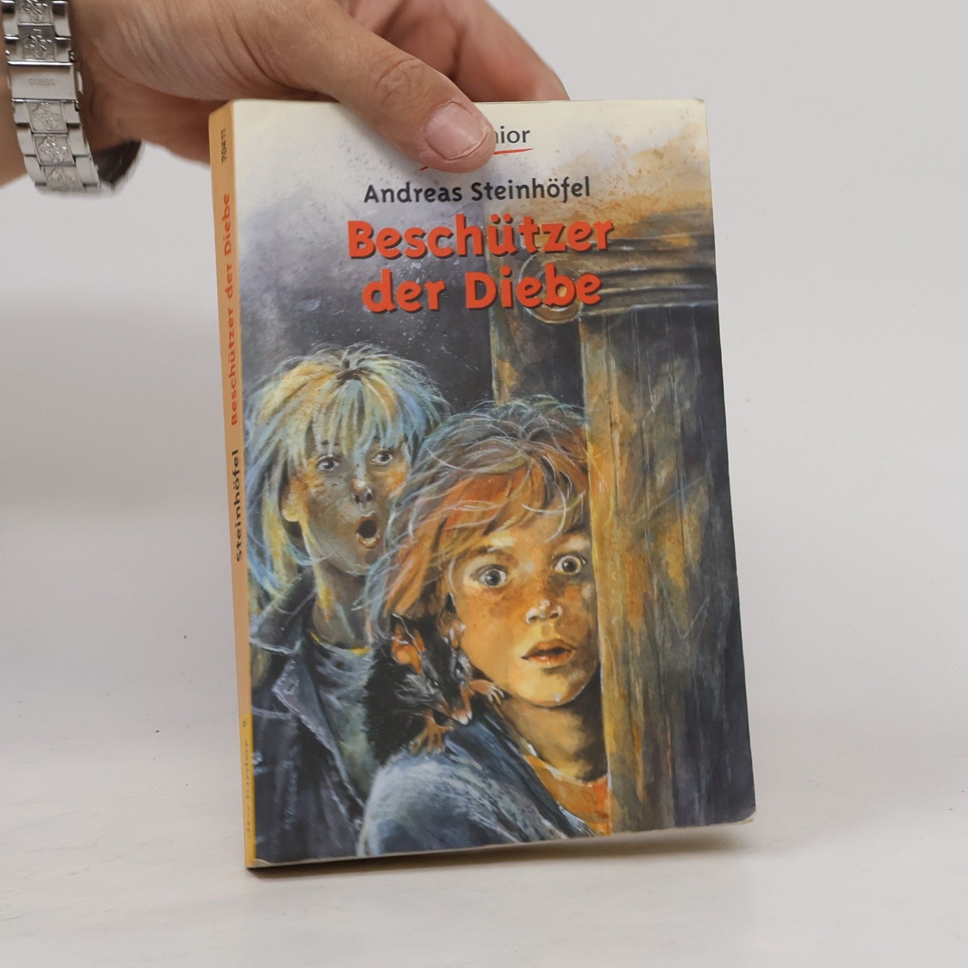 Andreas Steinhöfel Beschützer der Diebe