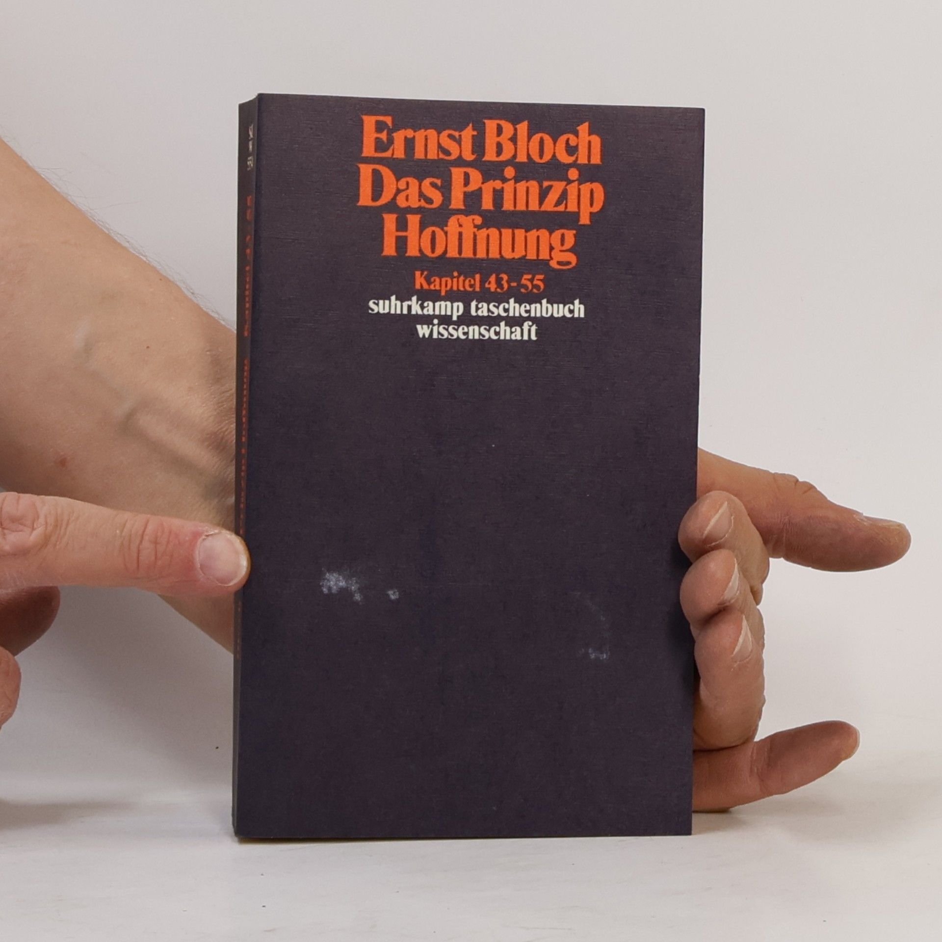 Ernst Bloch Das Prinzip Hoffnung: Kapitel 43-55