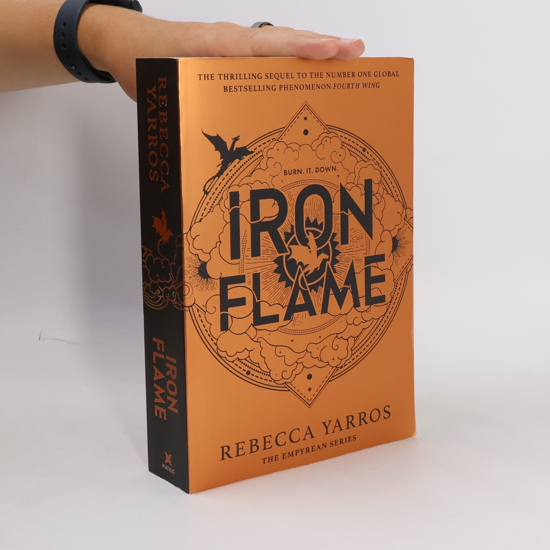 Iron Flame