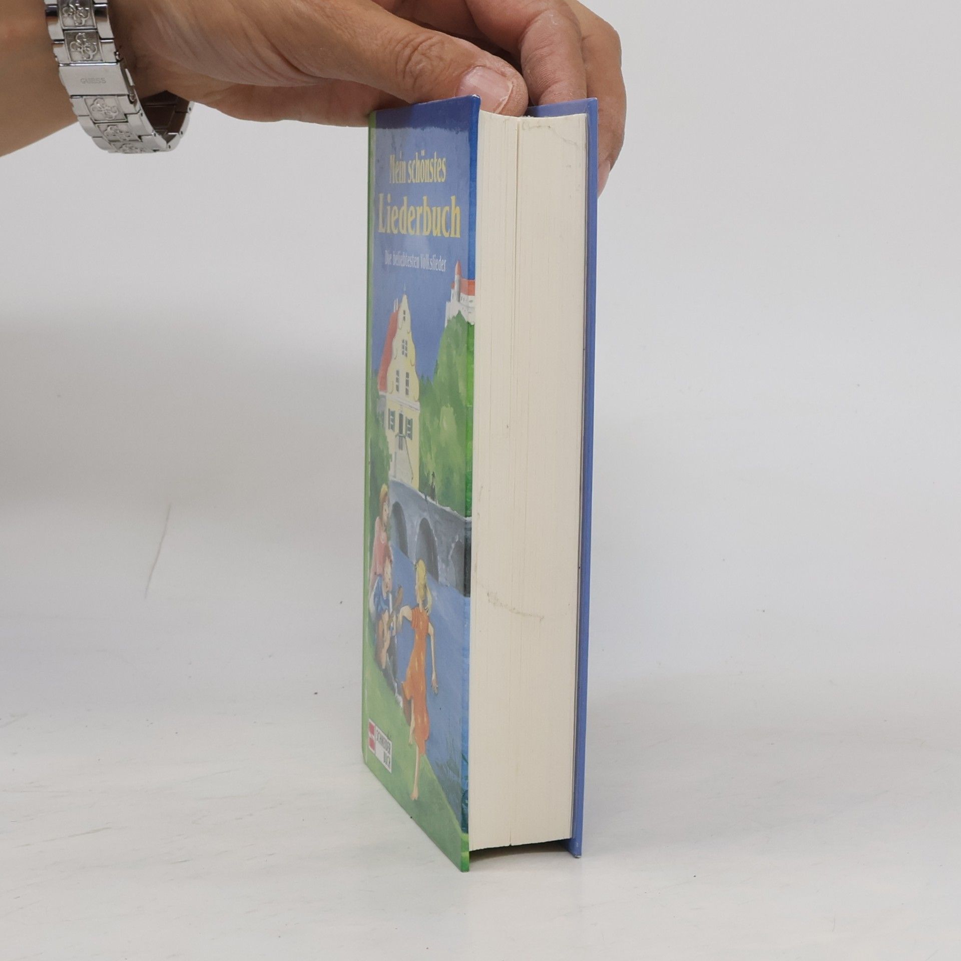 Stefan Taupe Mein schönstes Liederbuch
