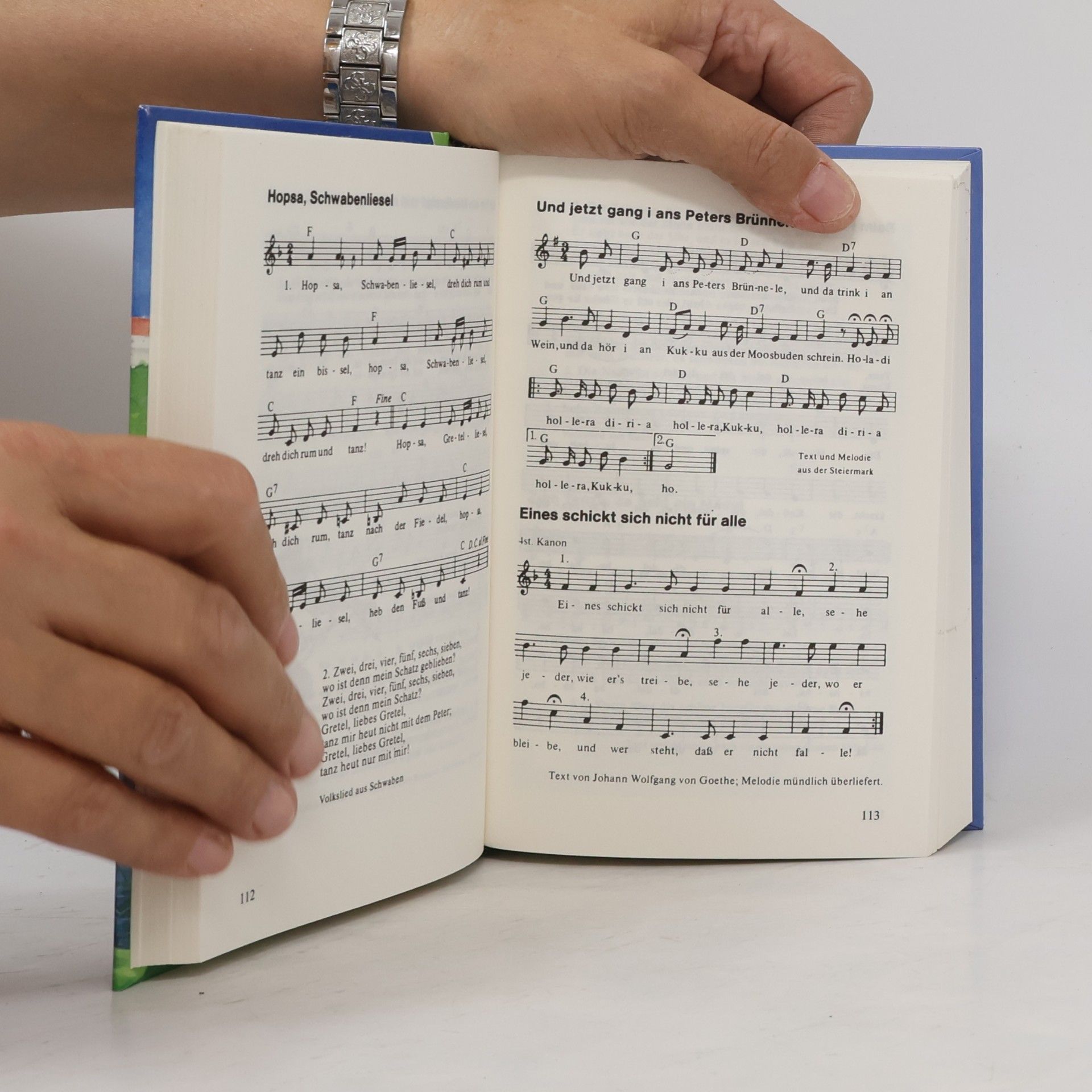 Stefan Taupe Mein schönstes Liederbuch