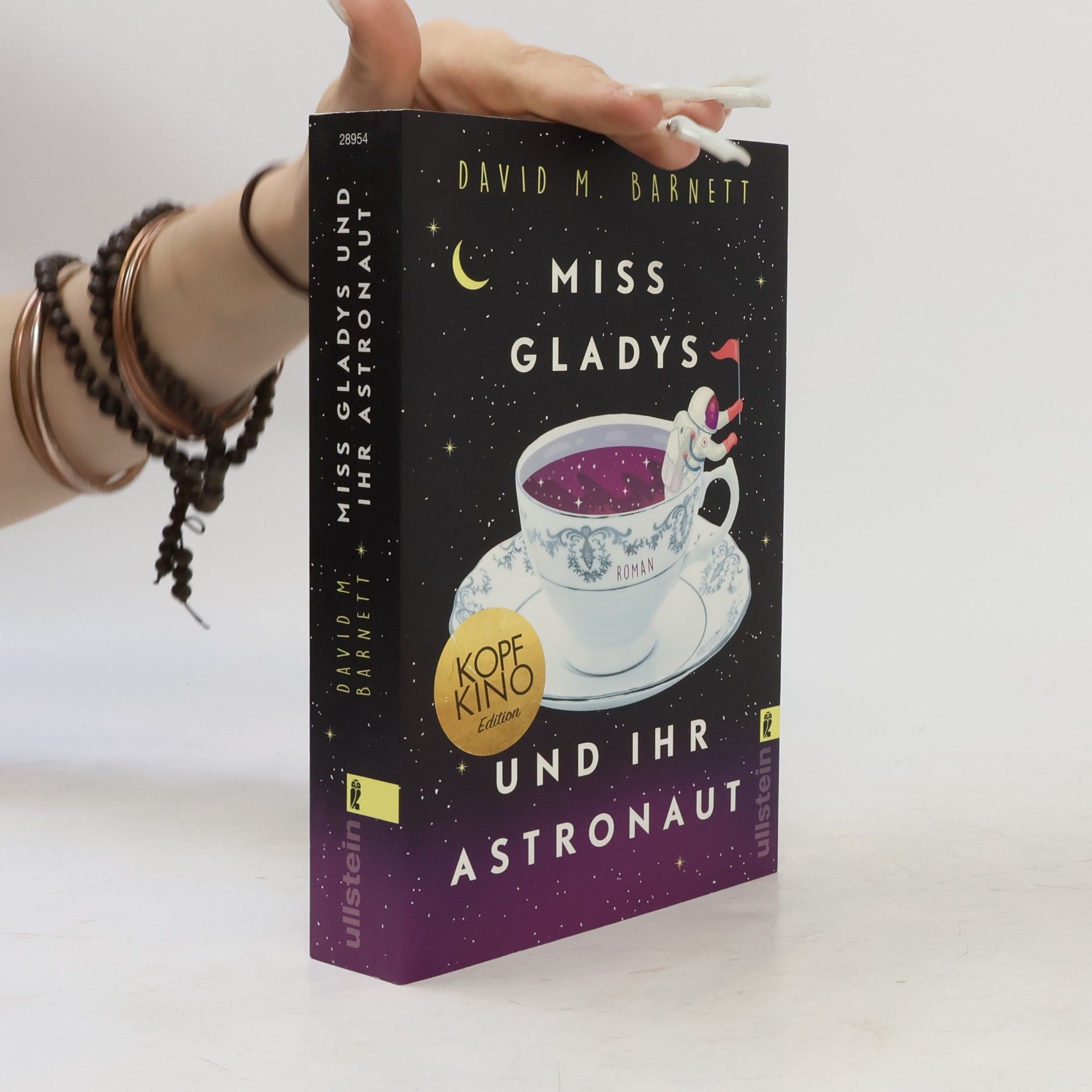 David Barnett Miss Gladys und ihr Astronaut