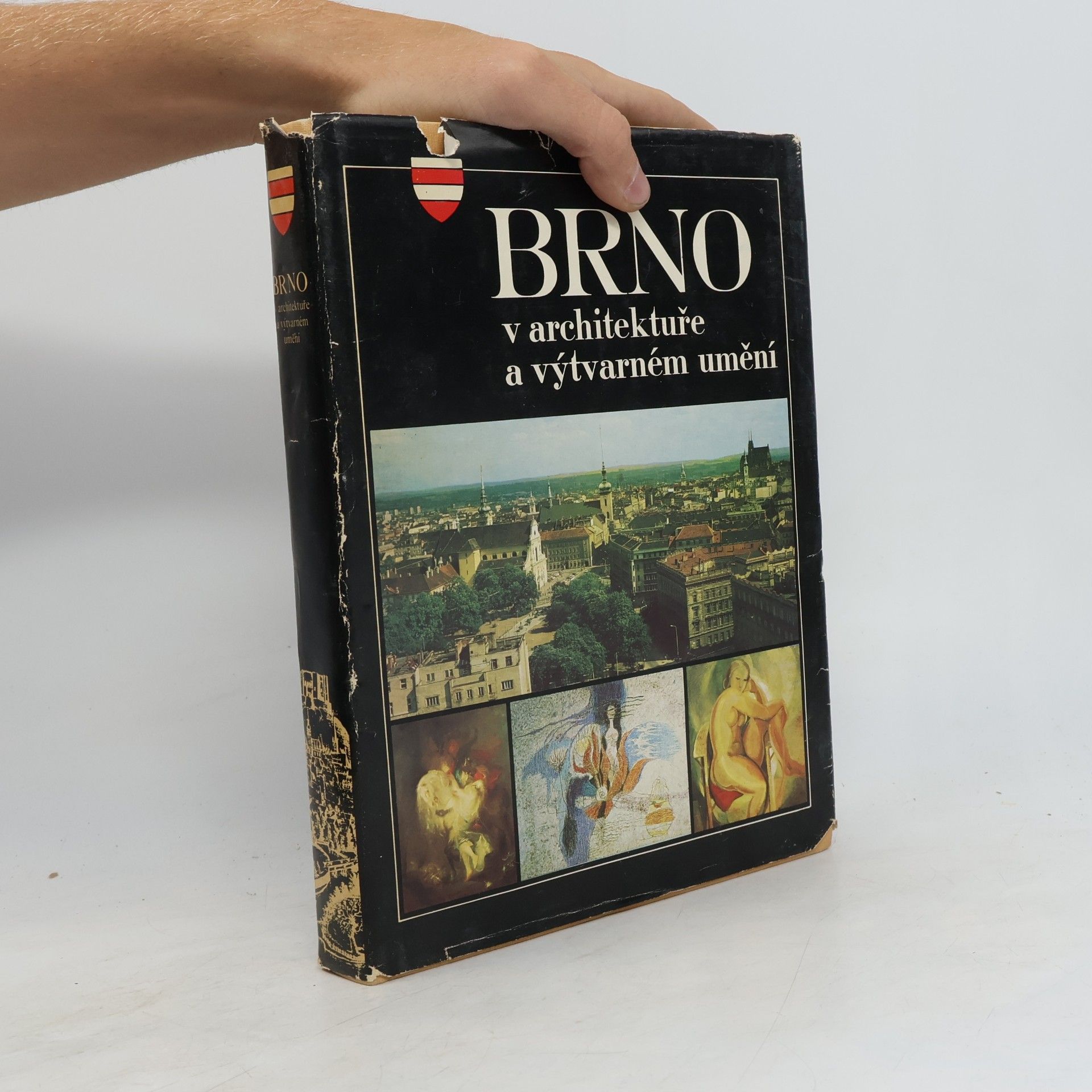 Iloš Crhonek Brno v architektuře a výtvarném umění