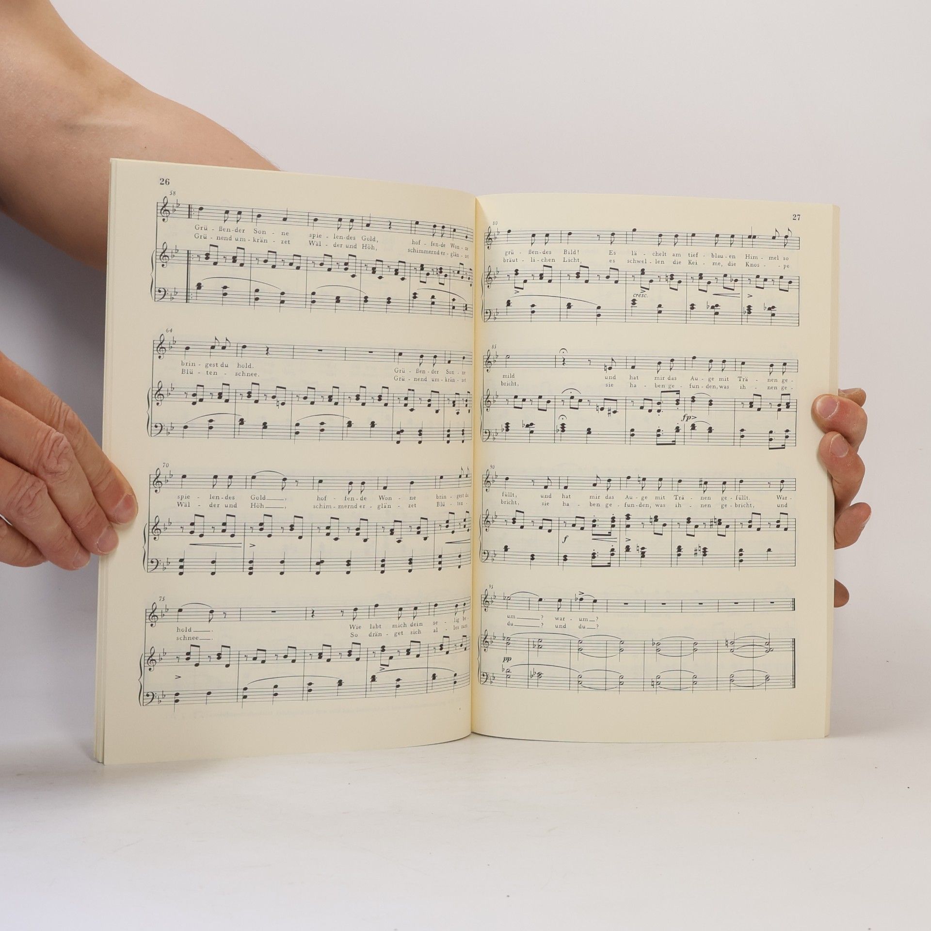 Franz Schubert Lieder 9