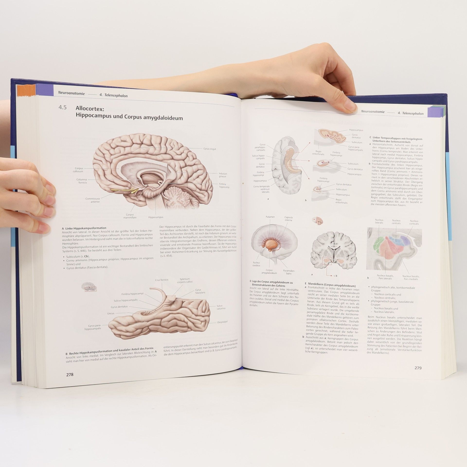 Michael Schünke Prometheus: LernAtlas der Anatomie