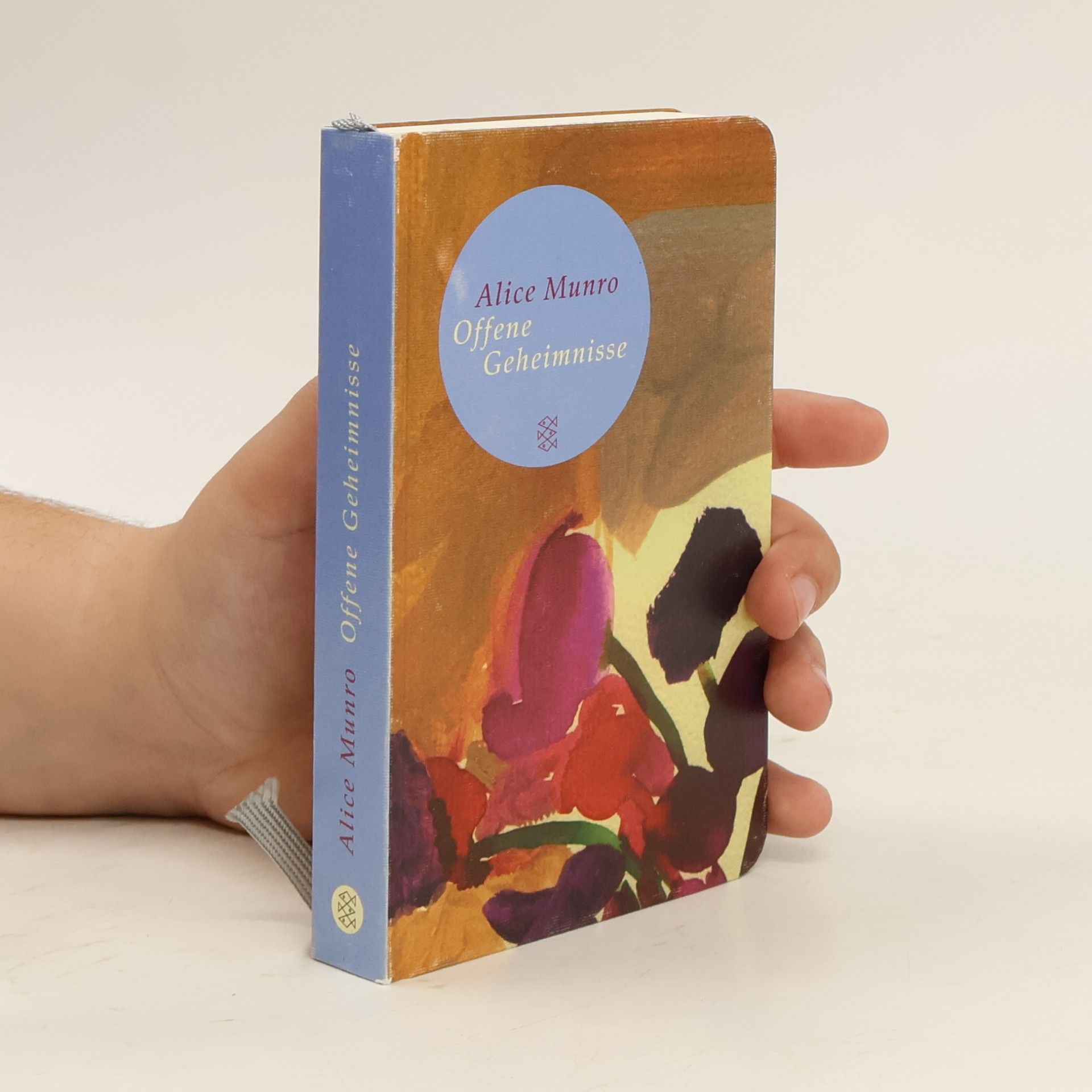 Alice Munro Offene Geheimnisse