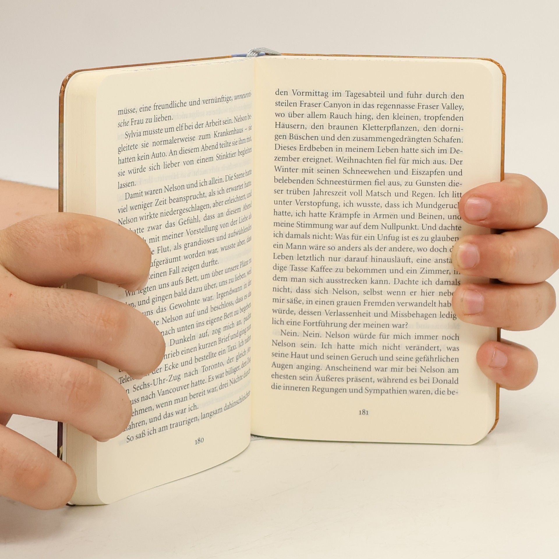 Alice Munro Offene Geheimnisse