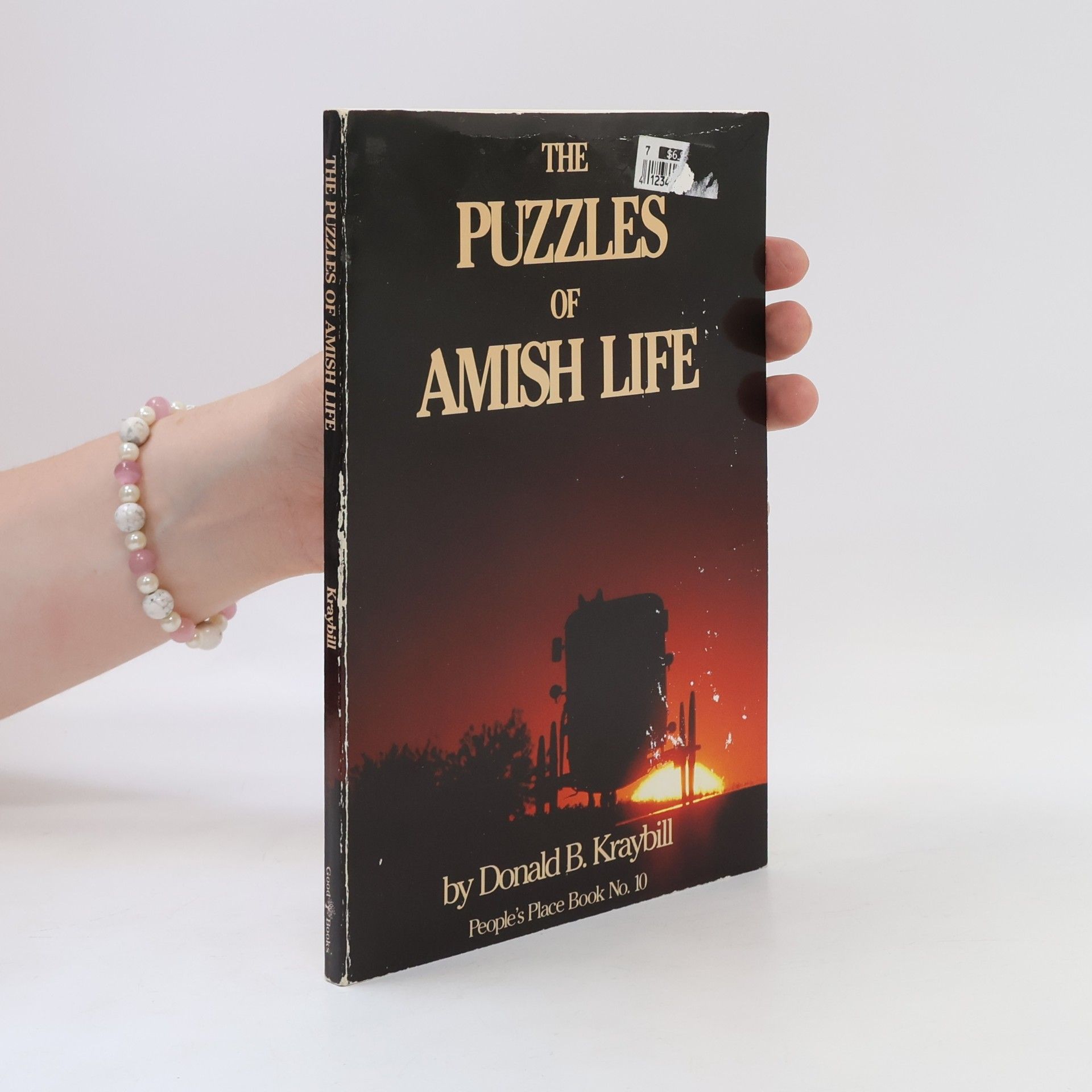 The Puzzles of Amish Life