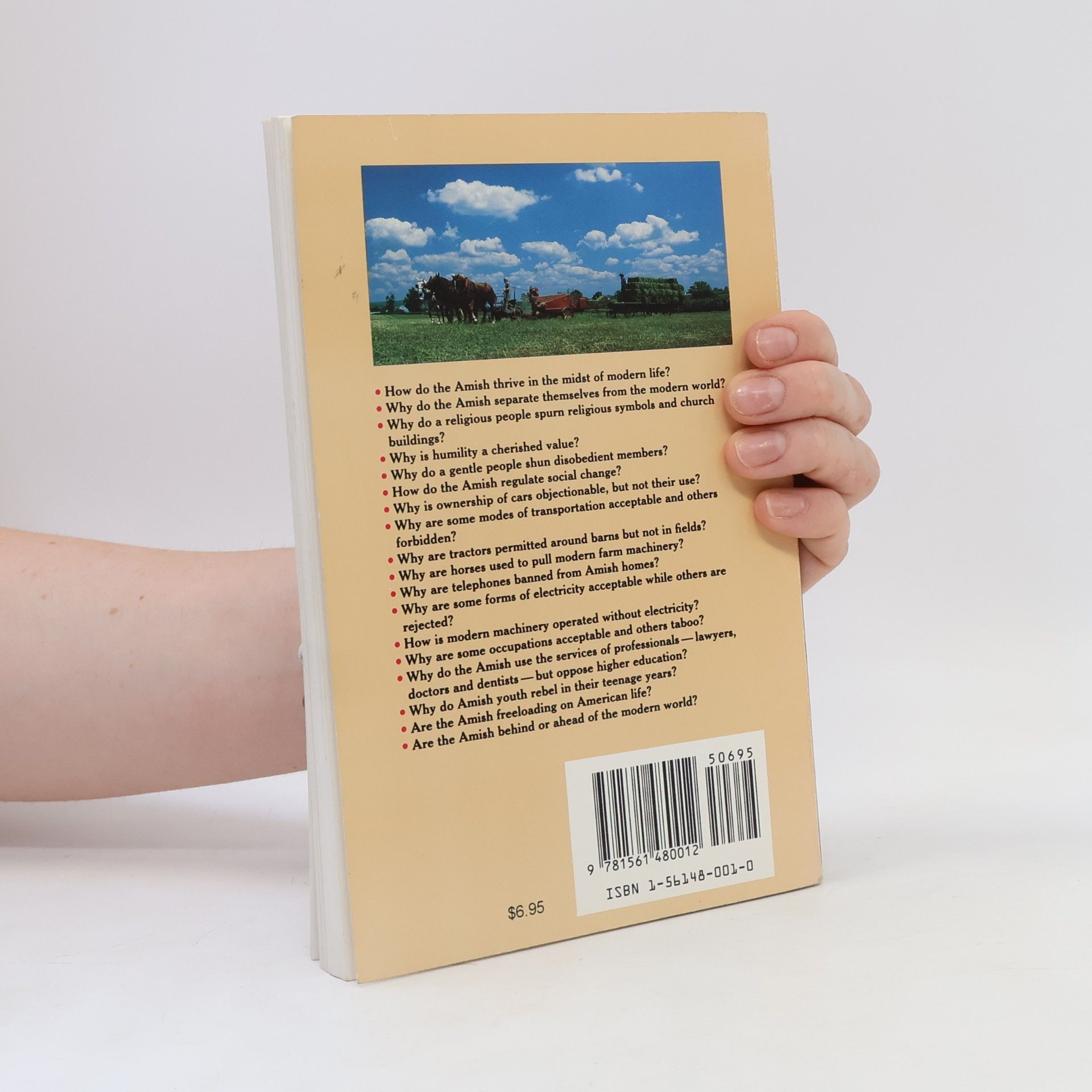 Donald B. Kraybill The Puzzles of Amish Life