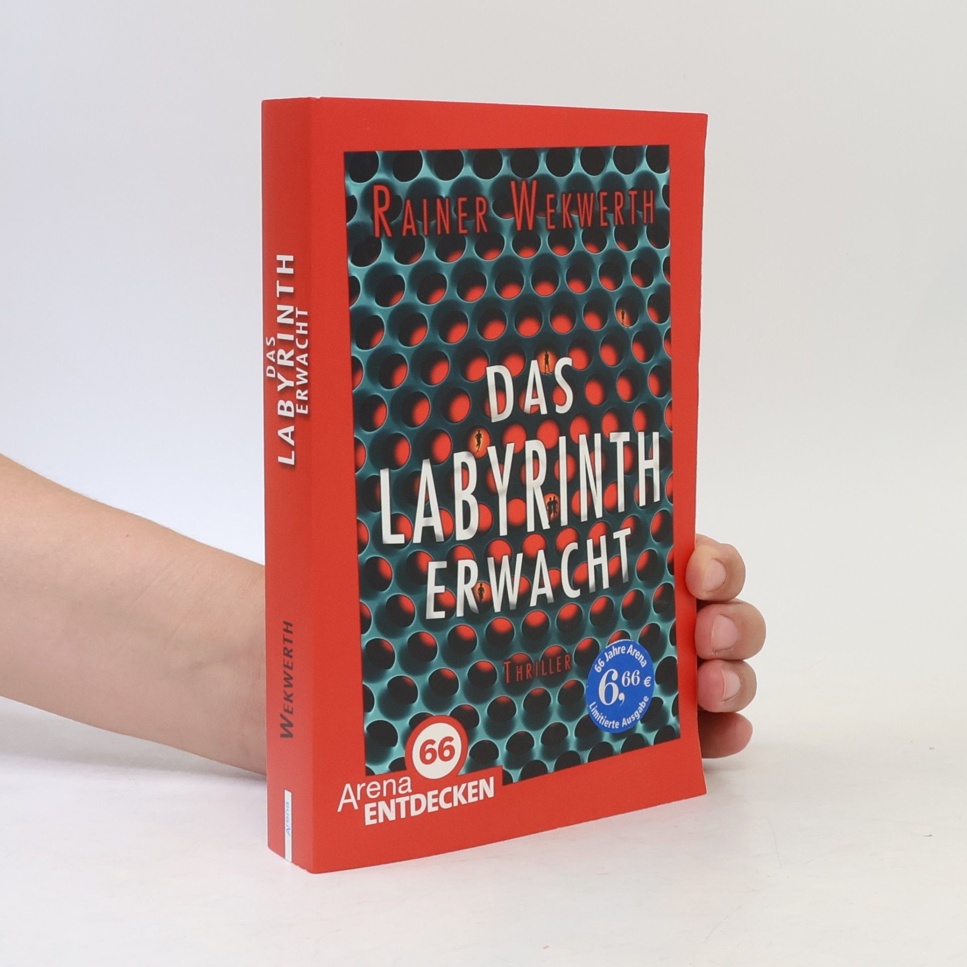 Rainer Wekwerth Das Labyrinth erwacht