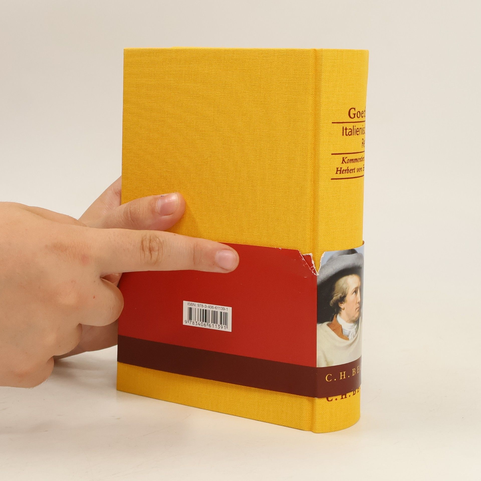 Johann Wolfgang von Goethe Italienische Reise