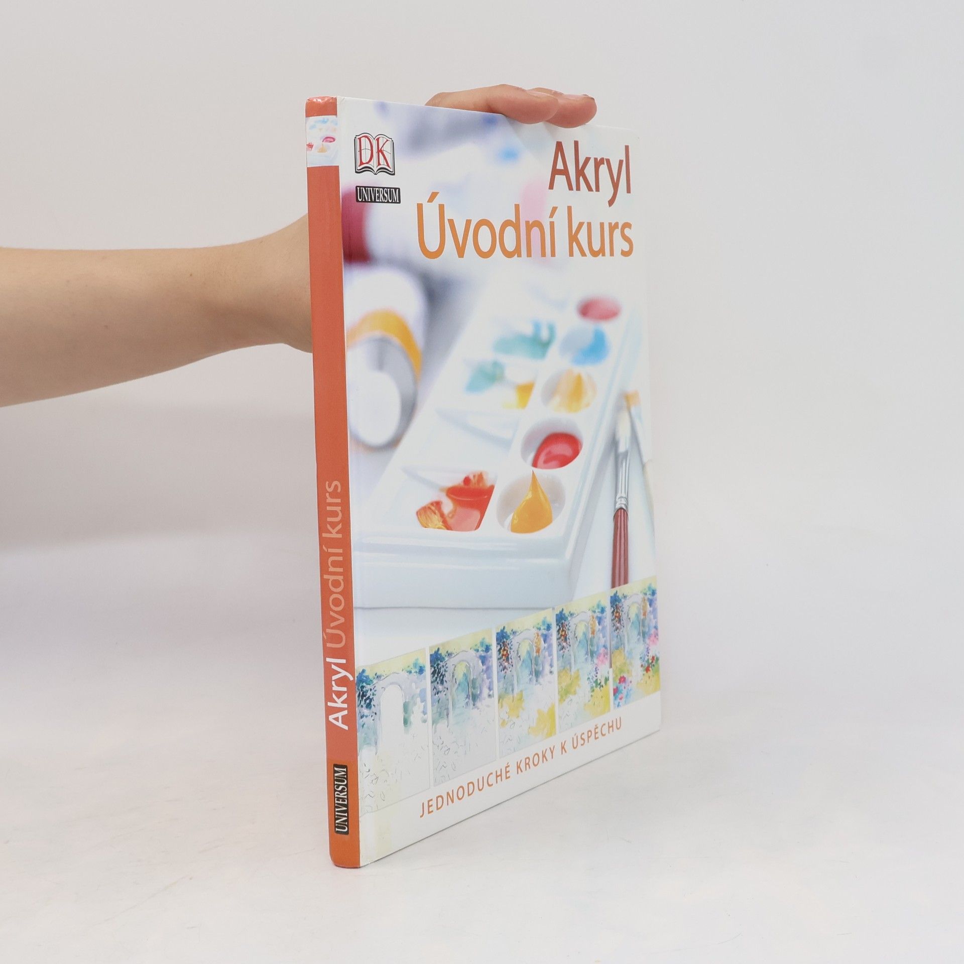 Phyllis McDowell Akryl : úvodní kurs