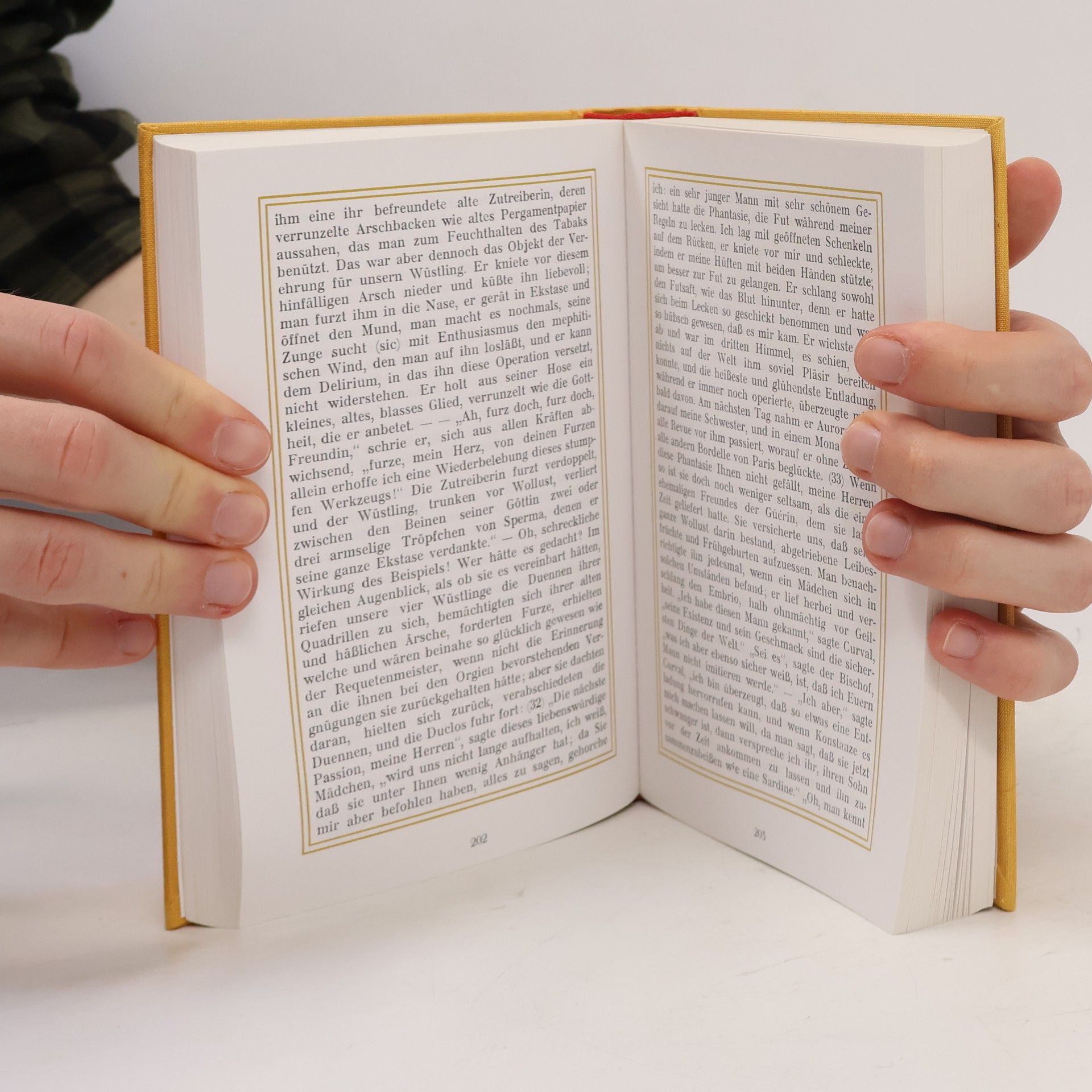 Autorenkollektiv Die hundertzwanzig Tage von Sodom oder die Schule der Ausschweifung