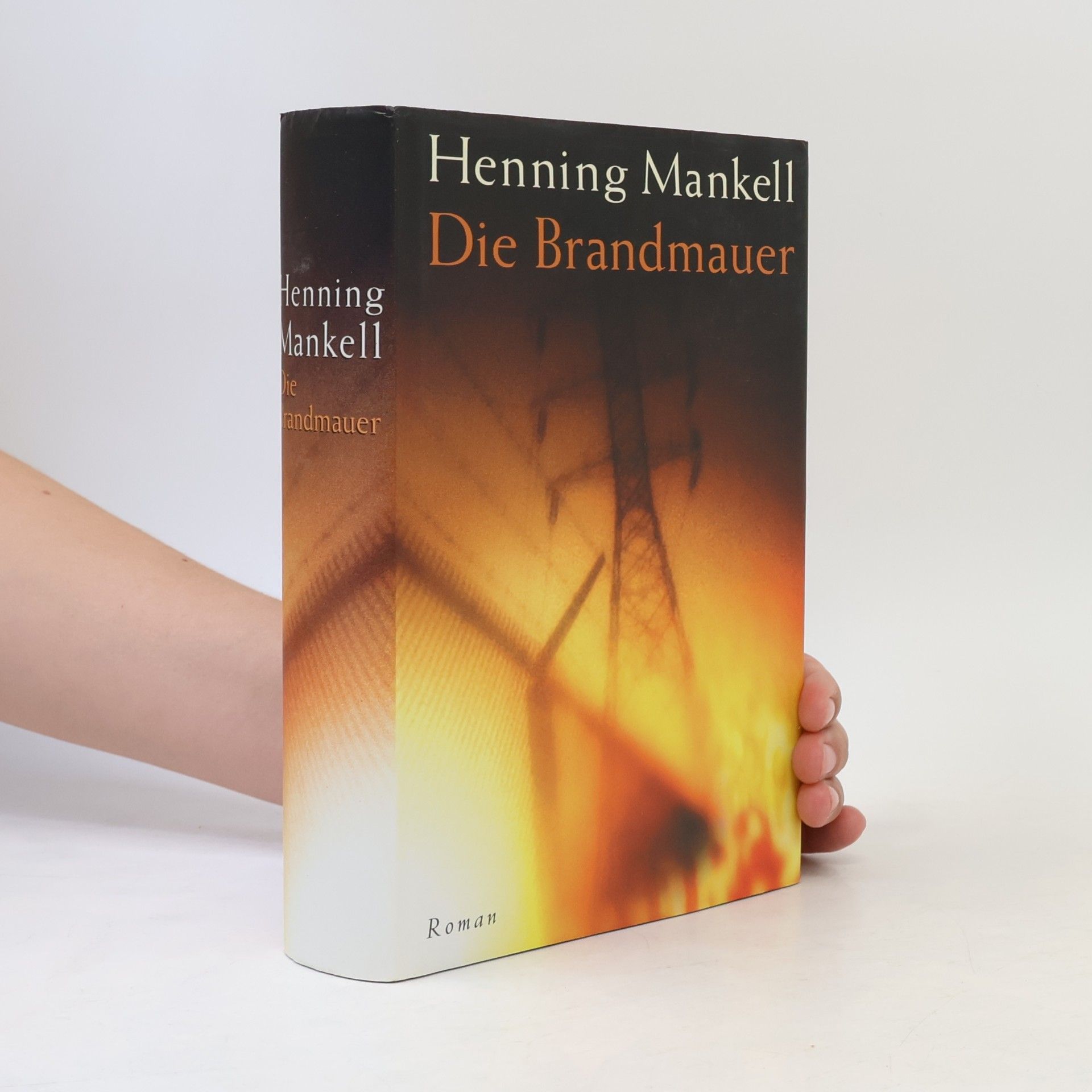 Henning Mankell Die Brandmauer