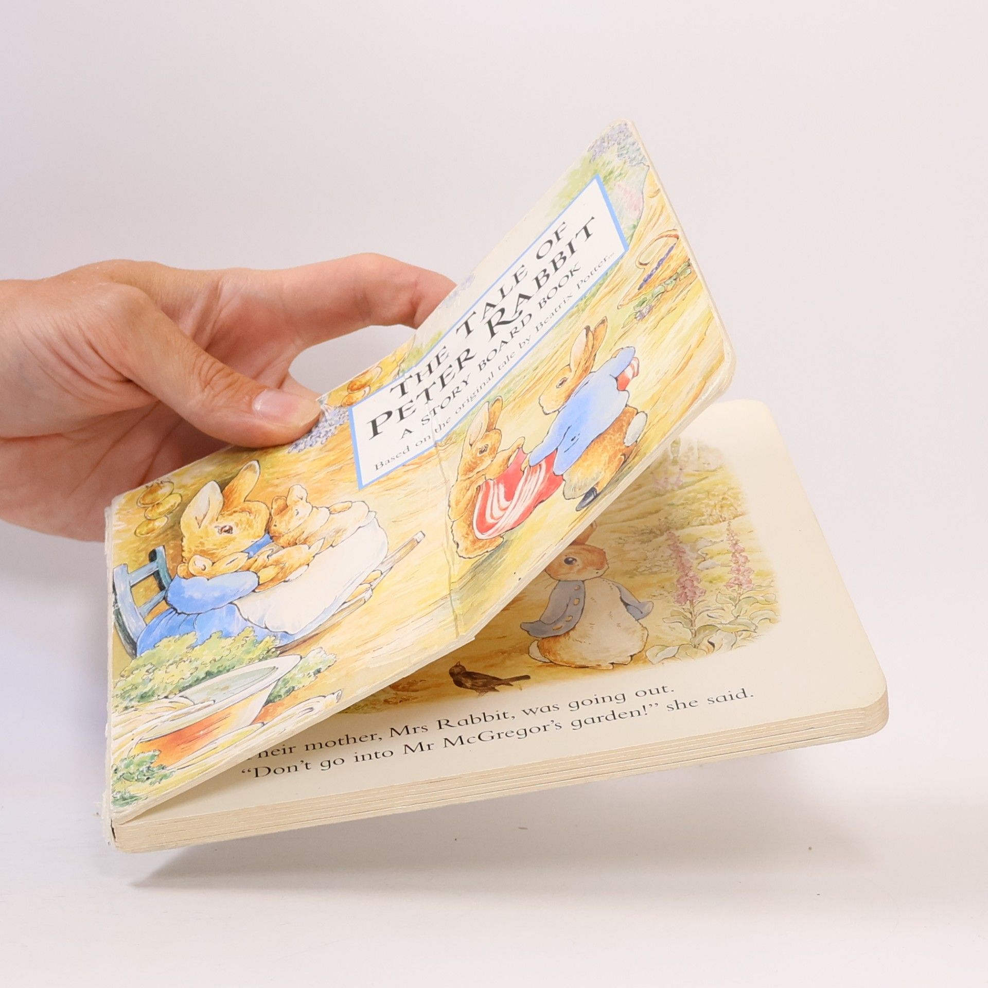 Beatrix Potter World of Peter Rabbit: The Tale of Peter Rabbit Story Board Book
