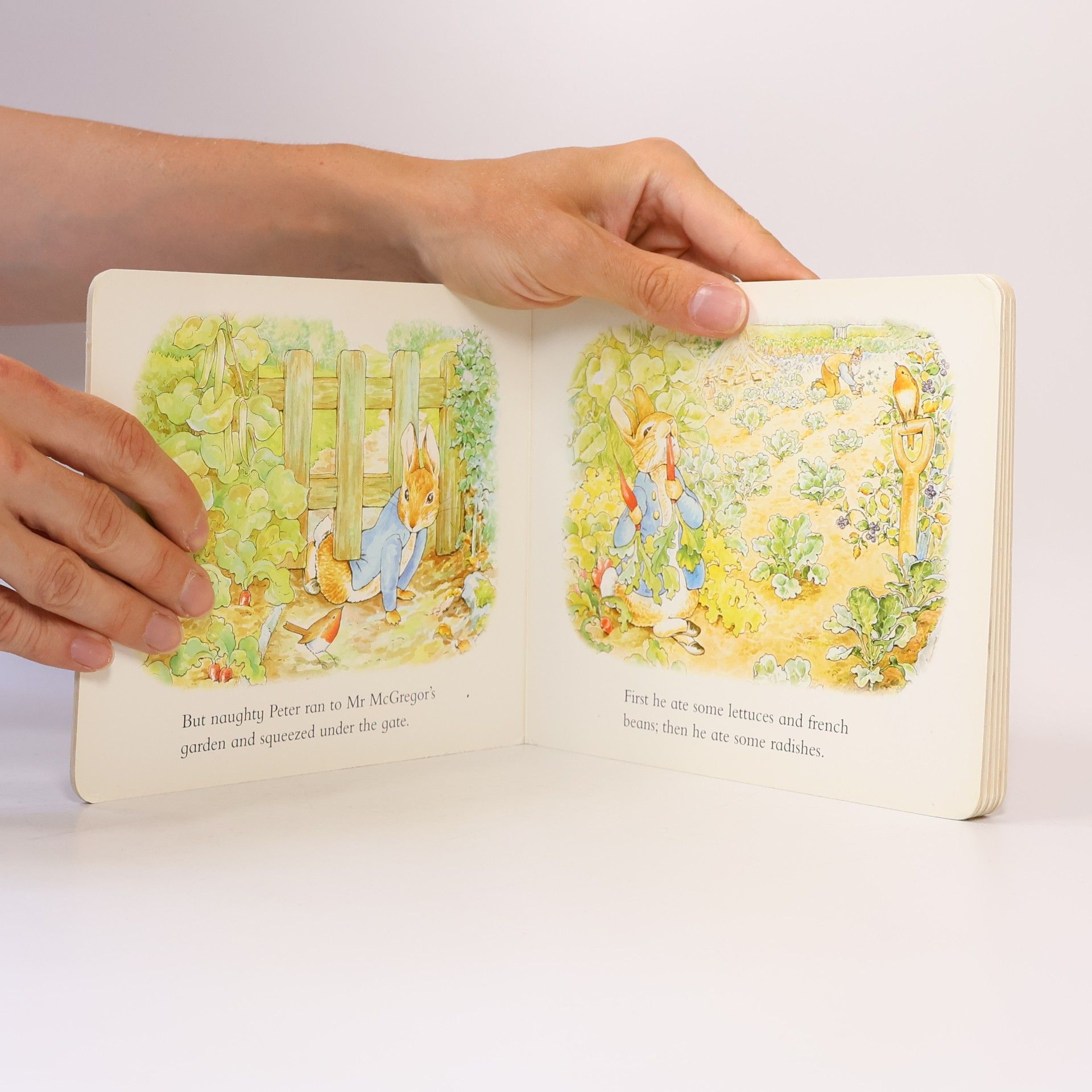 Beatrix Potter World of Peter Rabbit: The Tale of Peter Rabbit Story Board Book