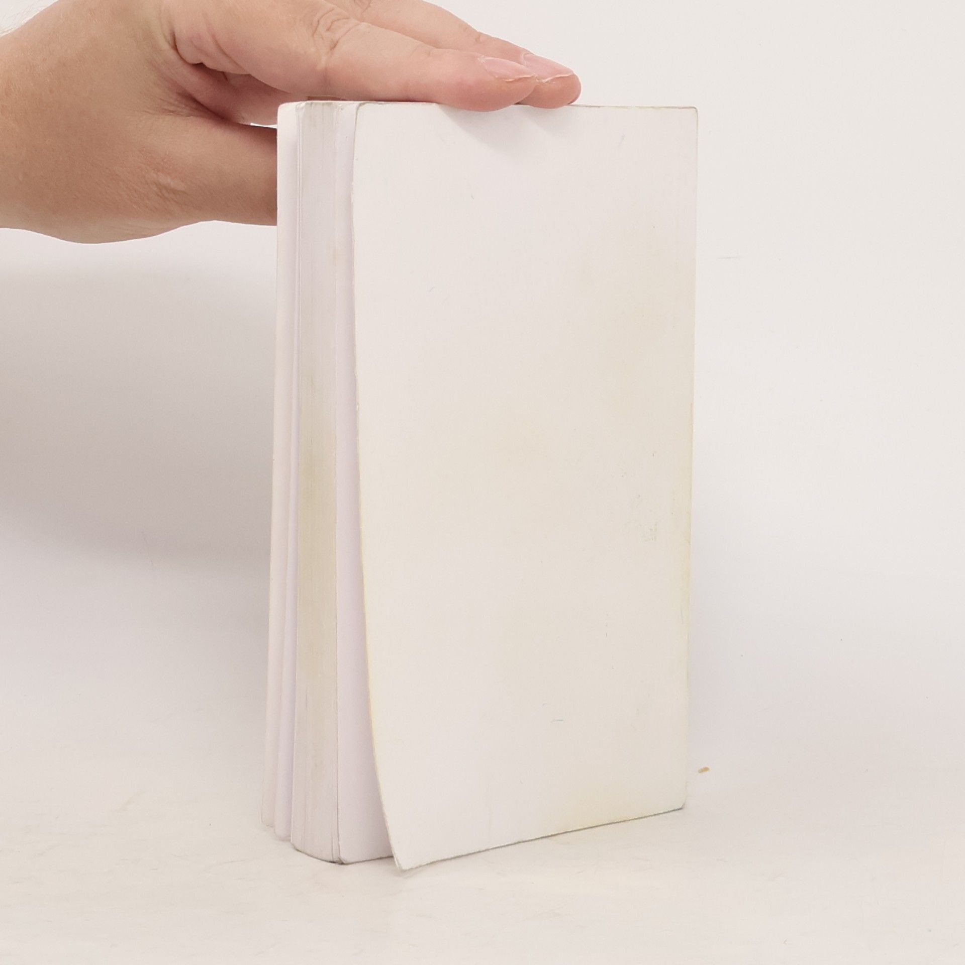 Miroslav Petříček Úvod do (současné) filosofie