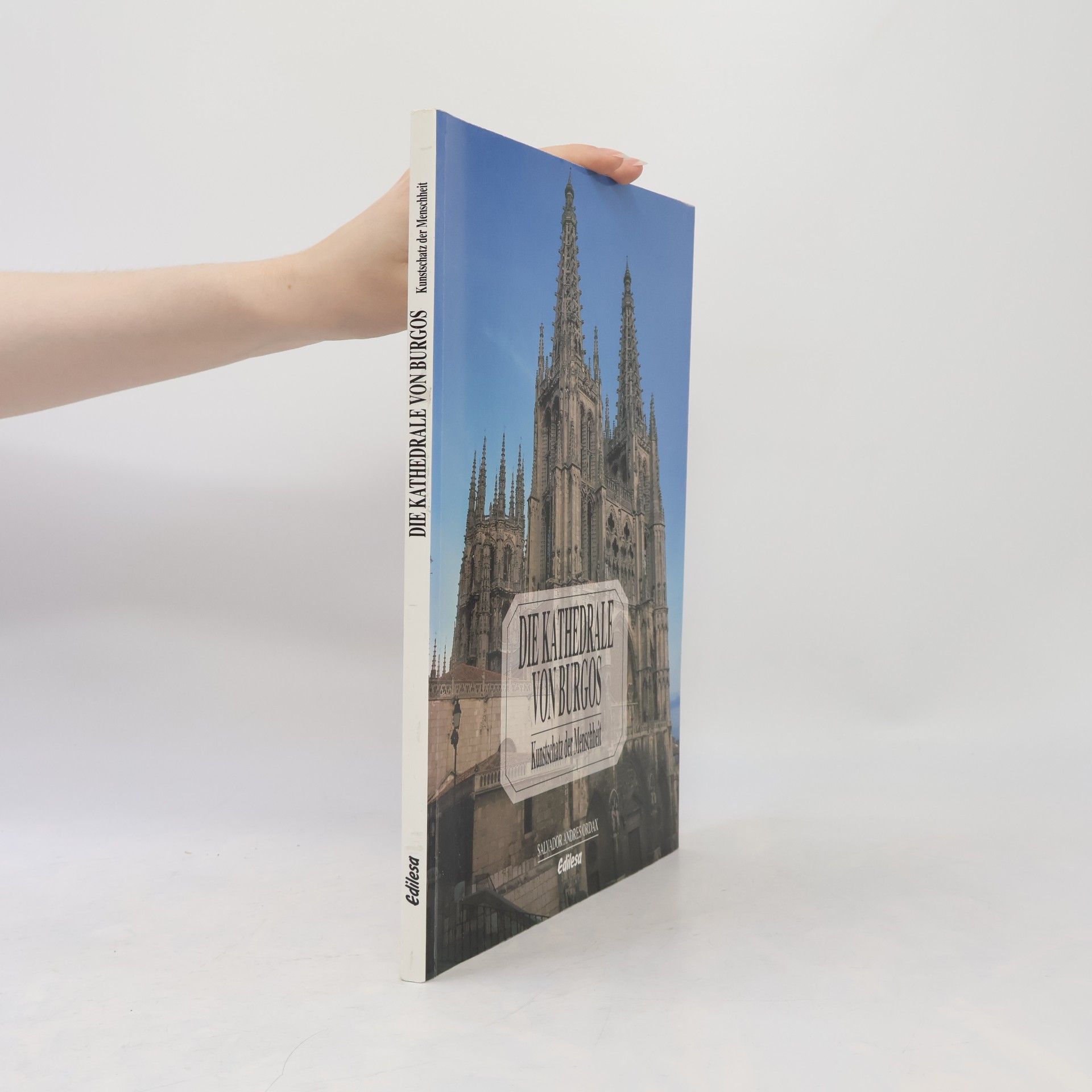 Salvador Andrés Ordax Die Kathedrale von Burgos