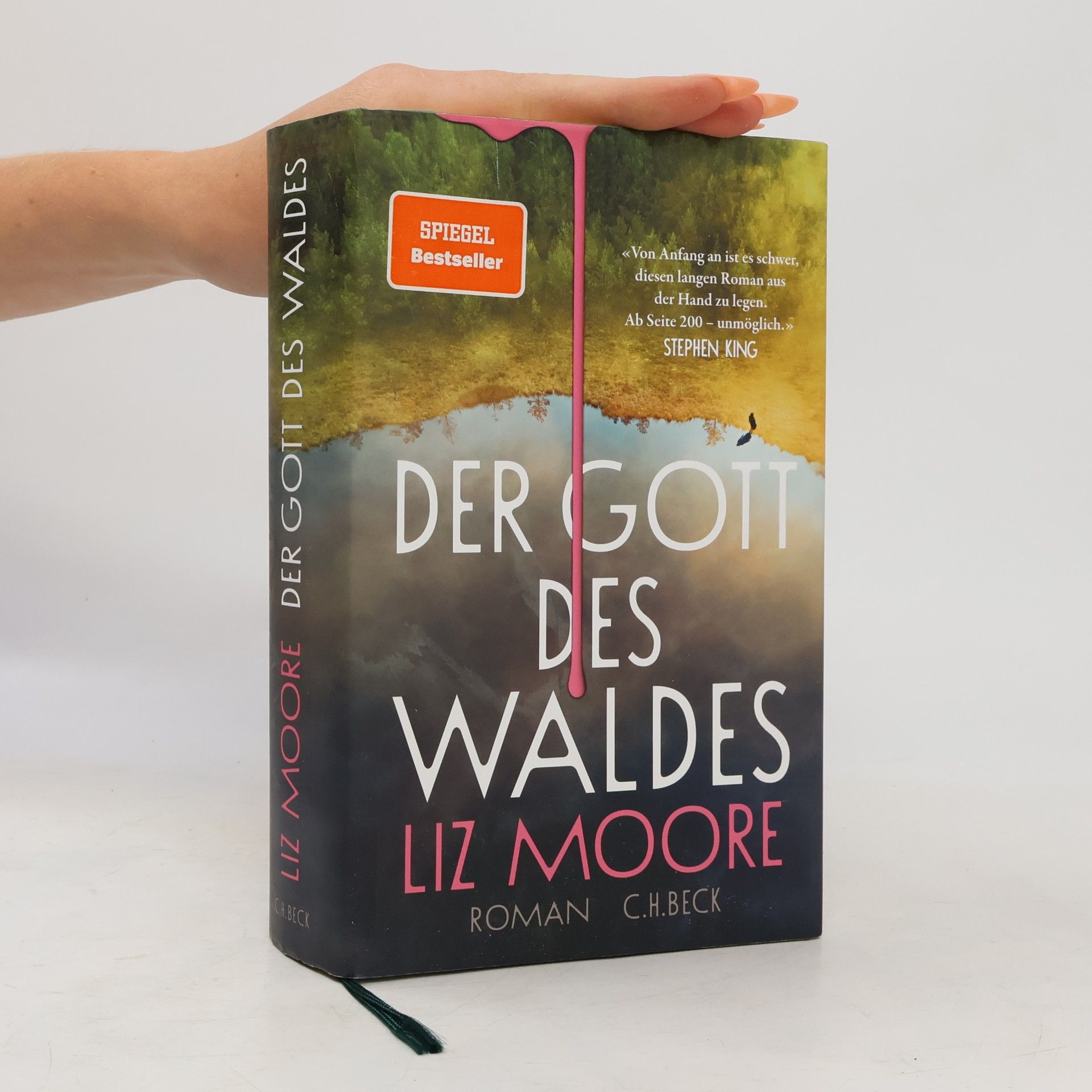 Liz Moore Der Gott des Waldes