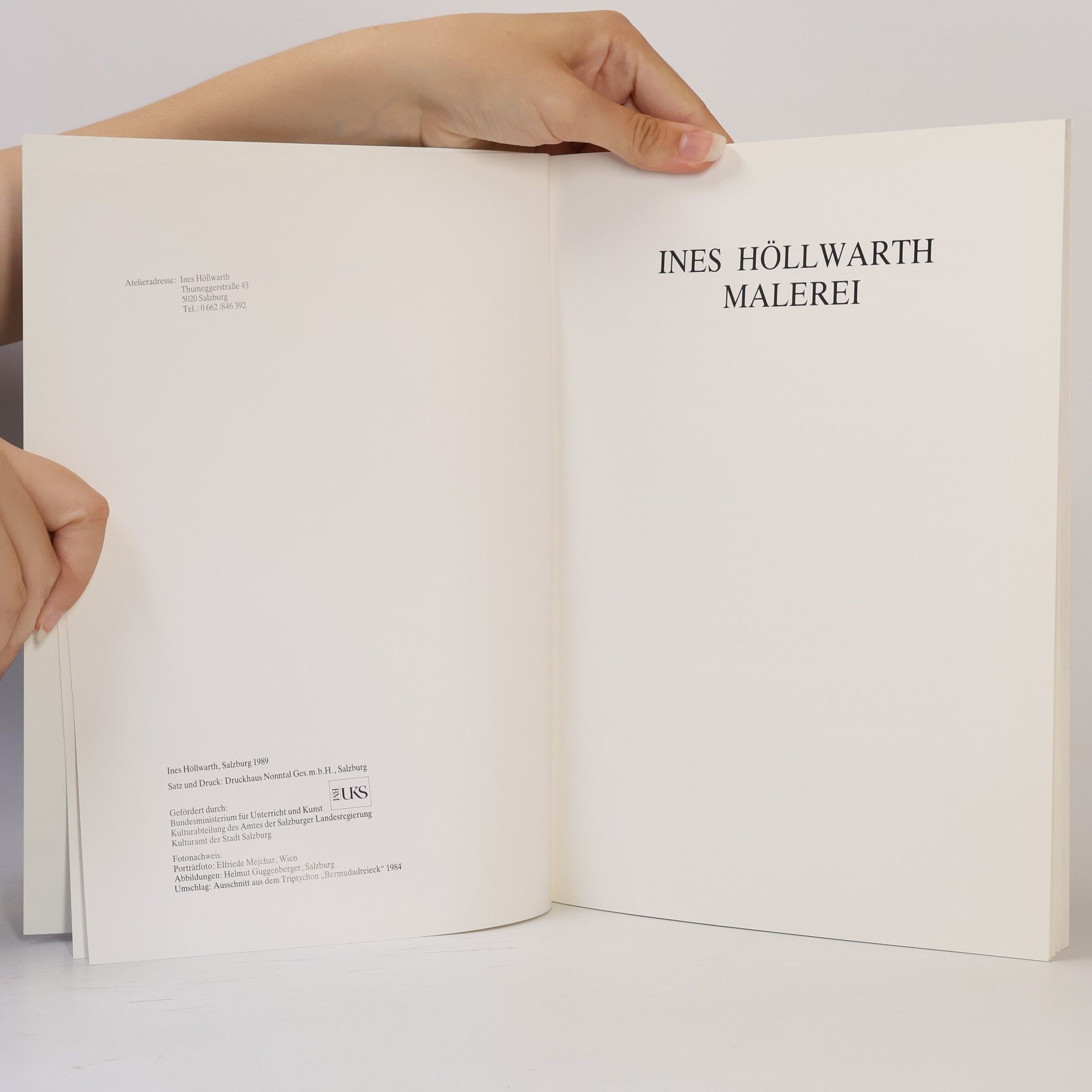 kolektiv Ines Höllwarth: Malerei