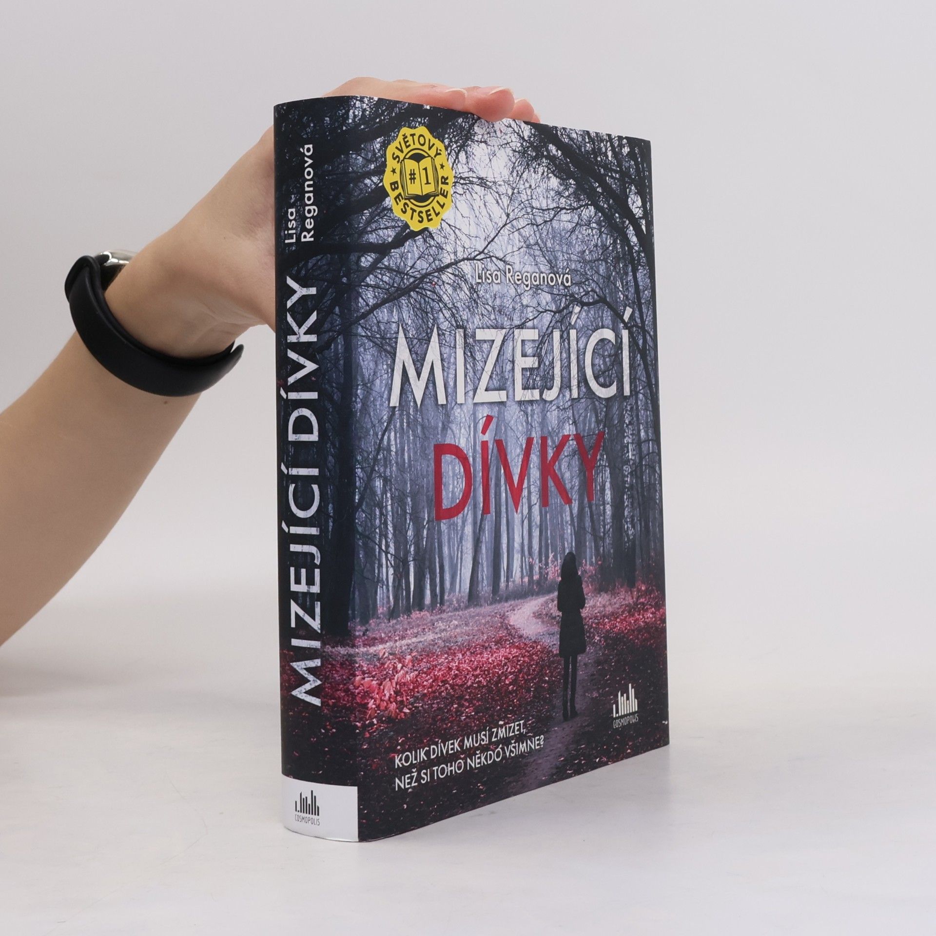 Lisa Regan Mizející dívky