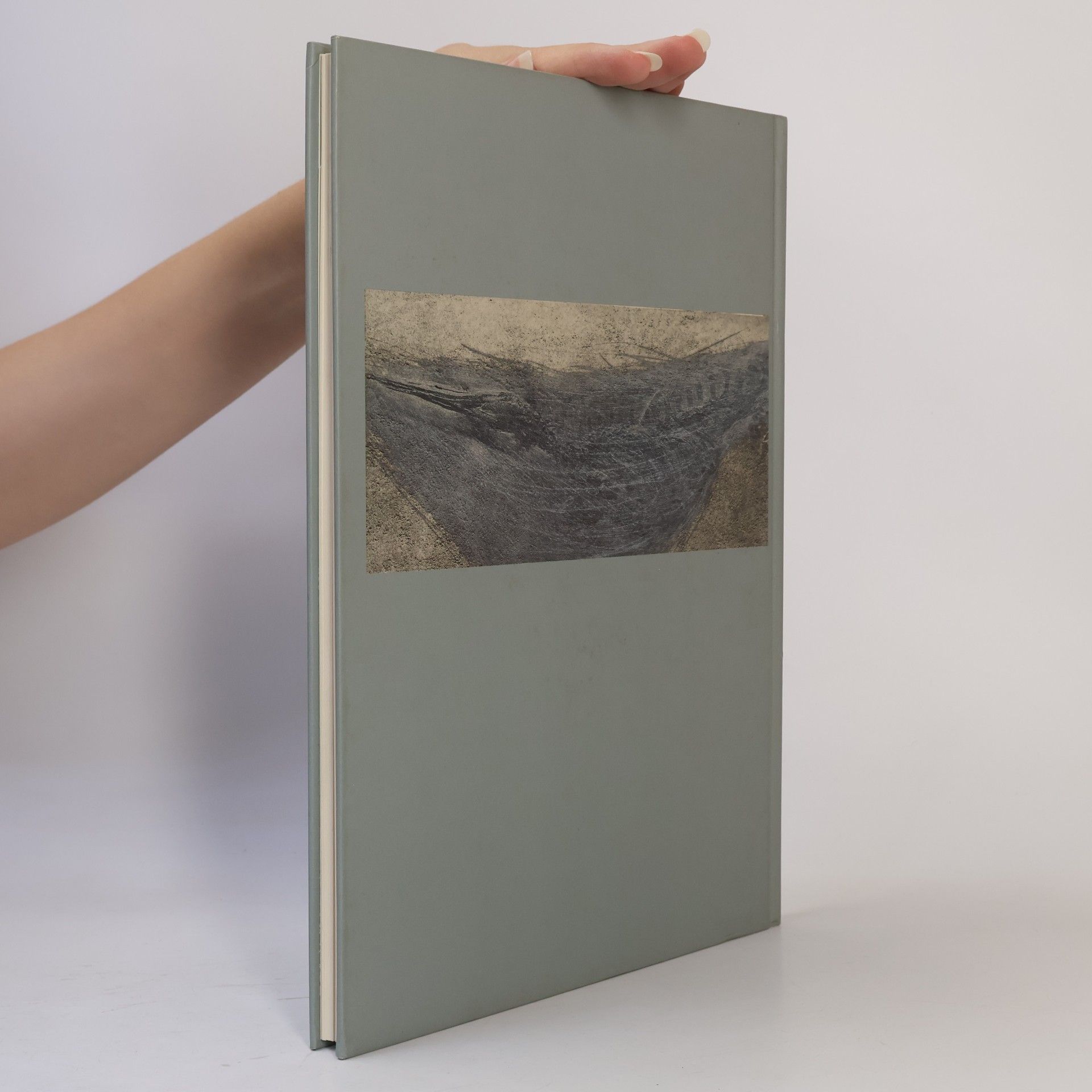 Peter Assmann Arnulf Rainer: Fossilien