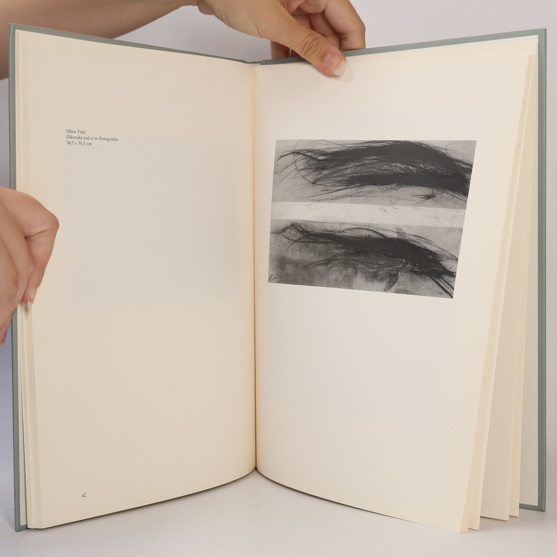 Peter Assmann Arnulf Rainer: Fossilien