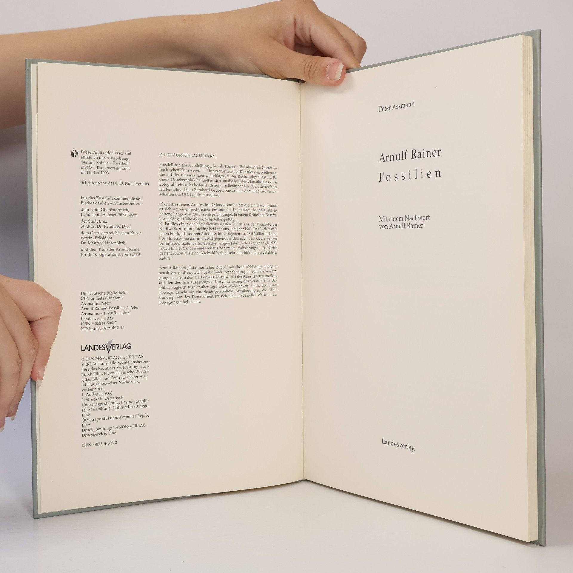 Peter Assmann Arnulf Rainer: Fossilien