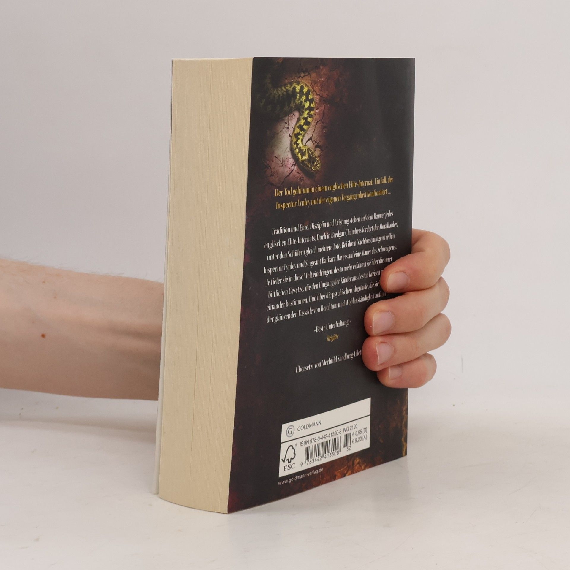 Elizabeth George Speare Auf Ehre und Gewissen