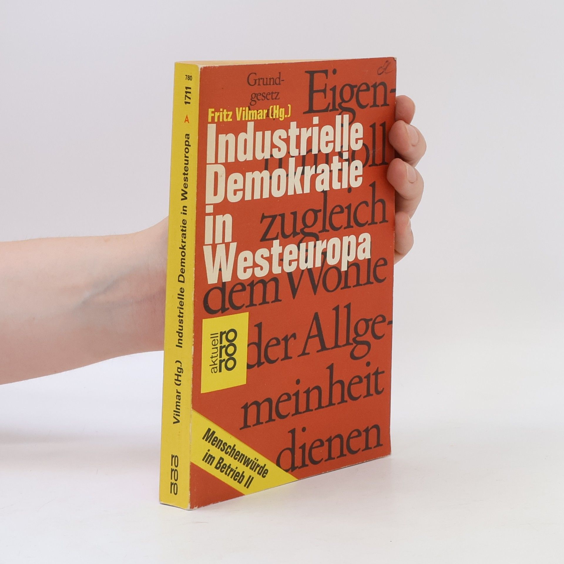 Industrielle Demokratie in Westeuropa II