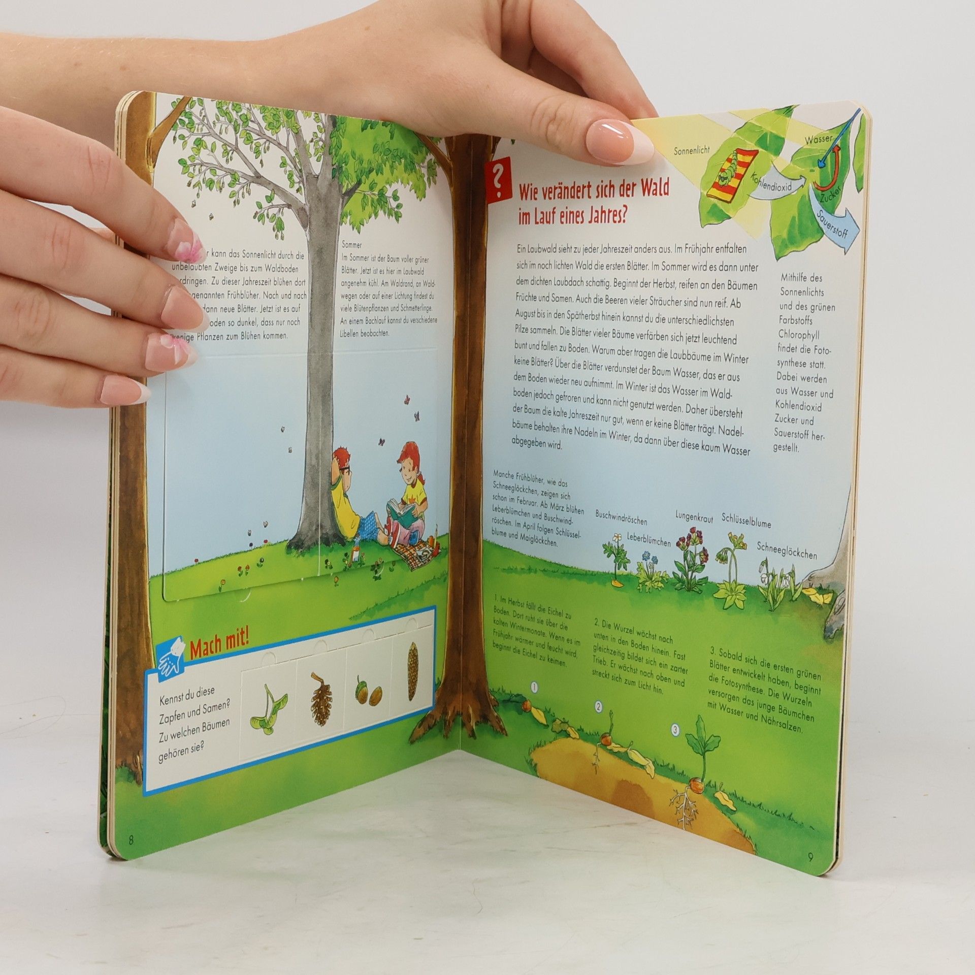 Autorenkollektiv Was ist was Junior. Im Wald