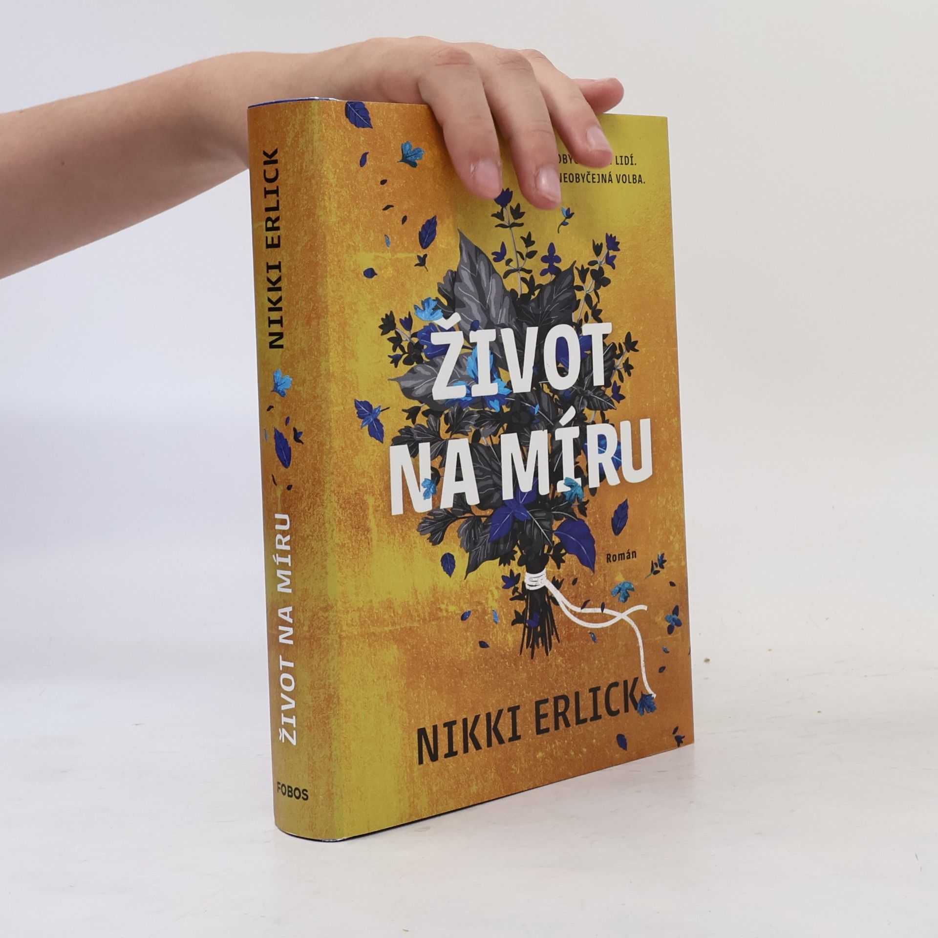 Nikki Erlick Život na míru