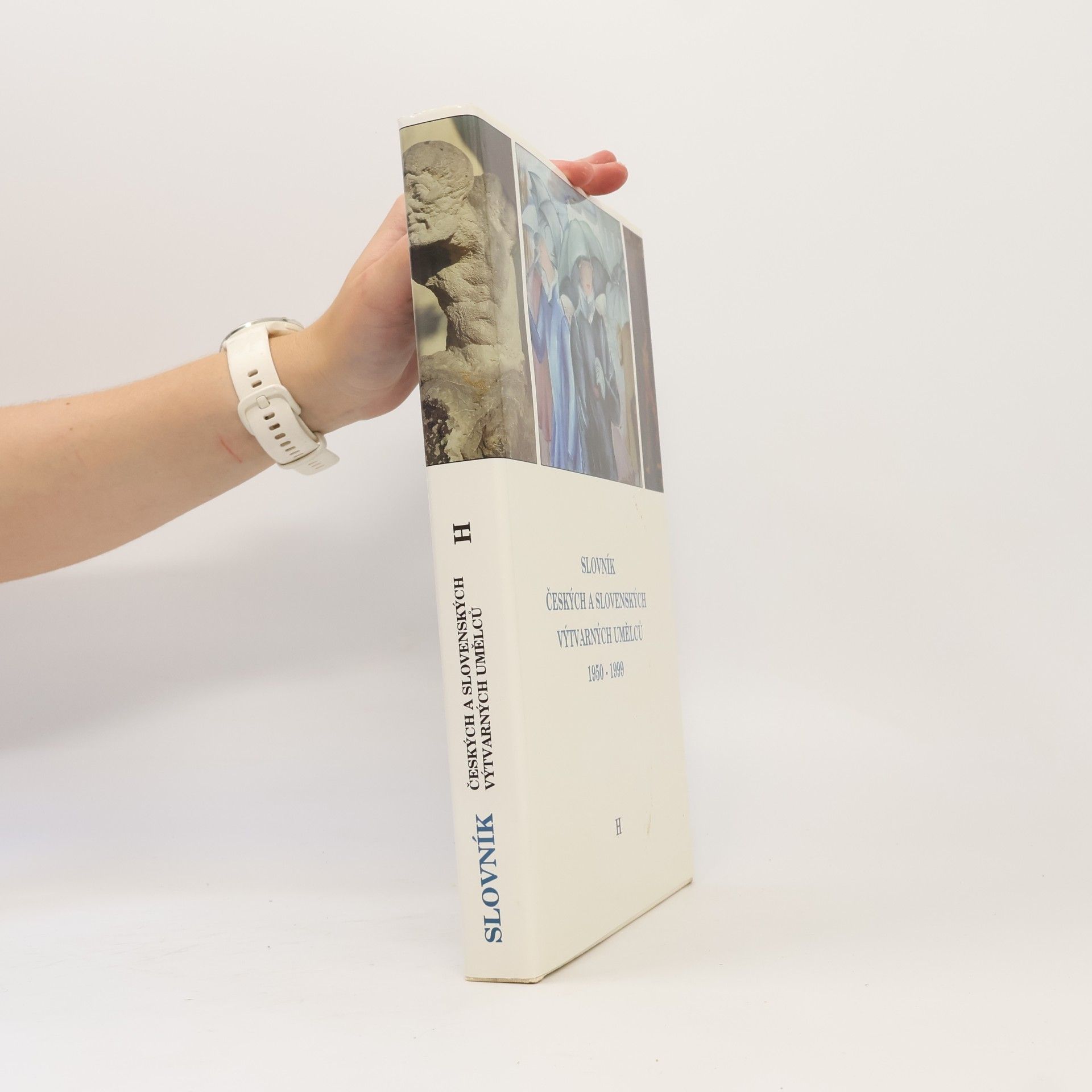 Autorenkollektiv Slovník českých a slovenských výtvarných umělců 1950-1999
