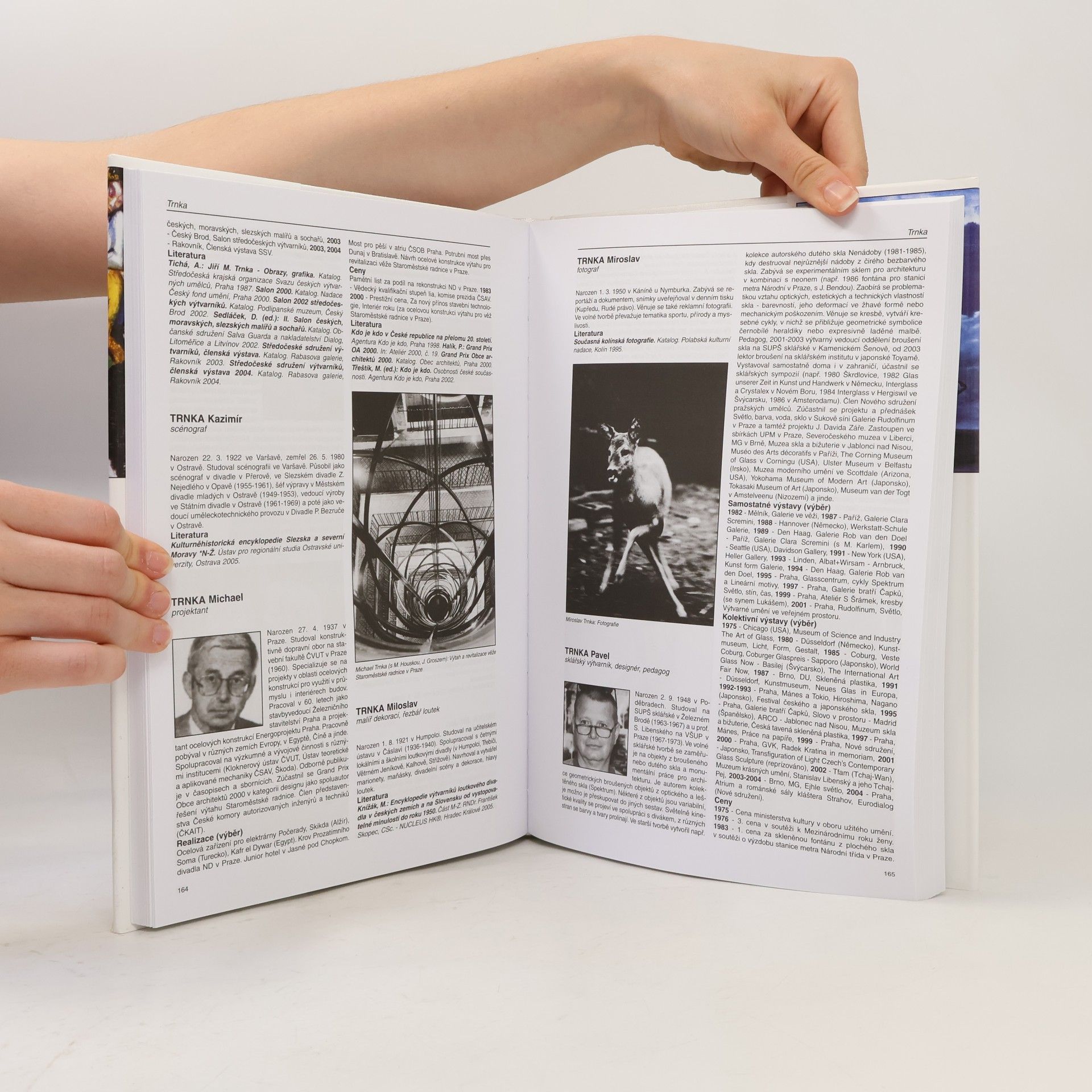 Autorenkollektiv Slovník českých a slovenských výtvarných umělců 18.díl 1950 - 2007 (Tik - U)