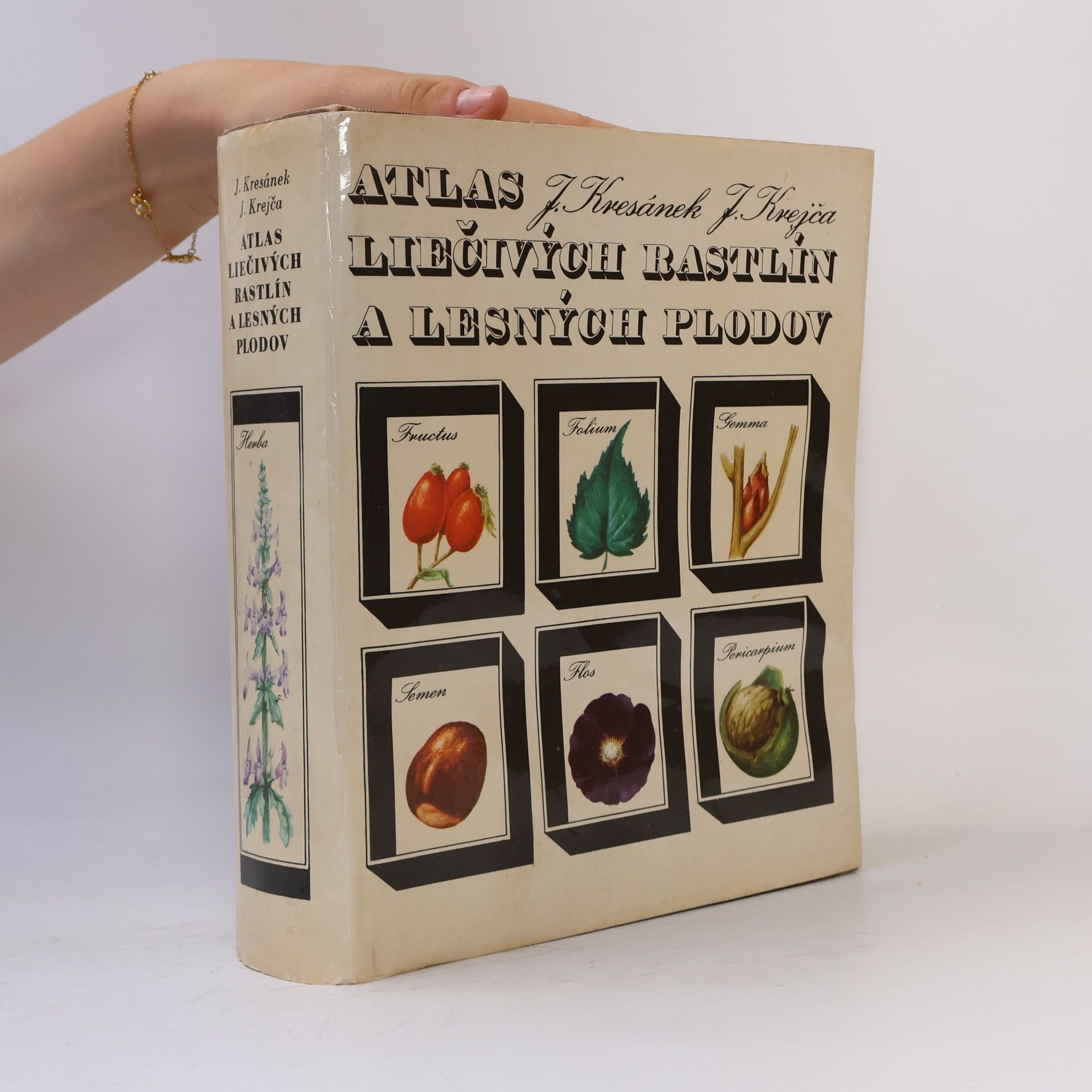Jindřich Krejča Atlas liečivých rastlín a lesných plodov