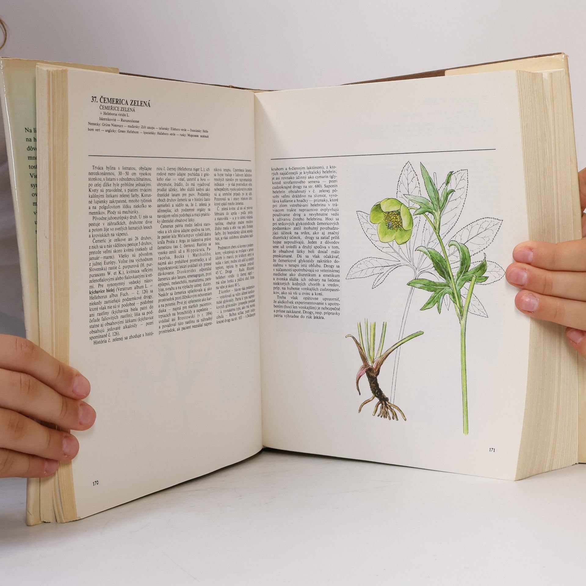 Jindřich Krejča Atlas liečivých rastlín a lesných plodov