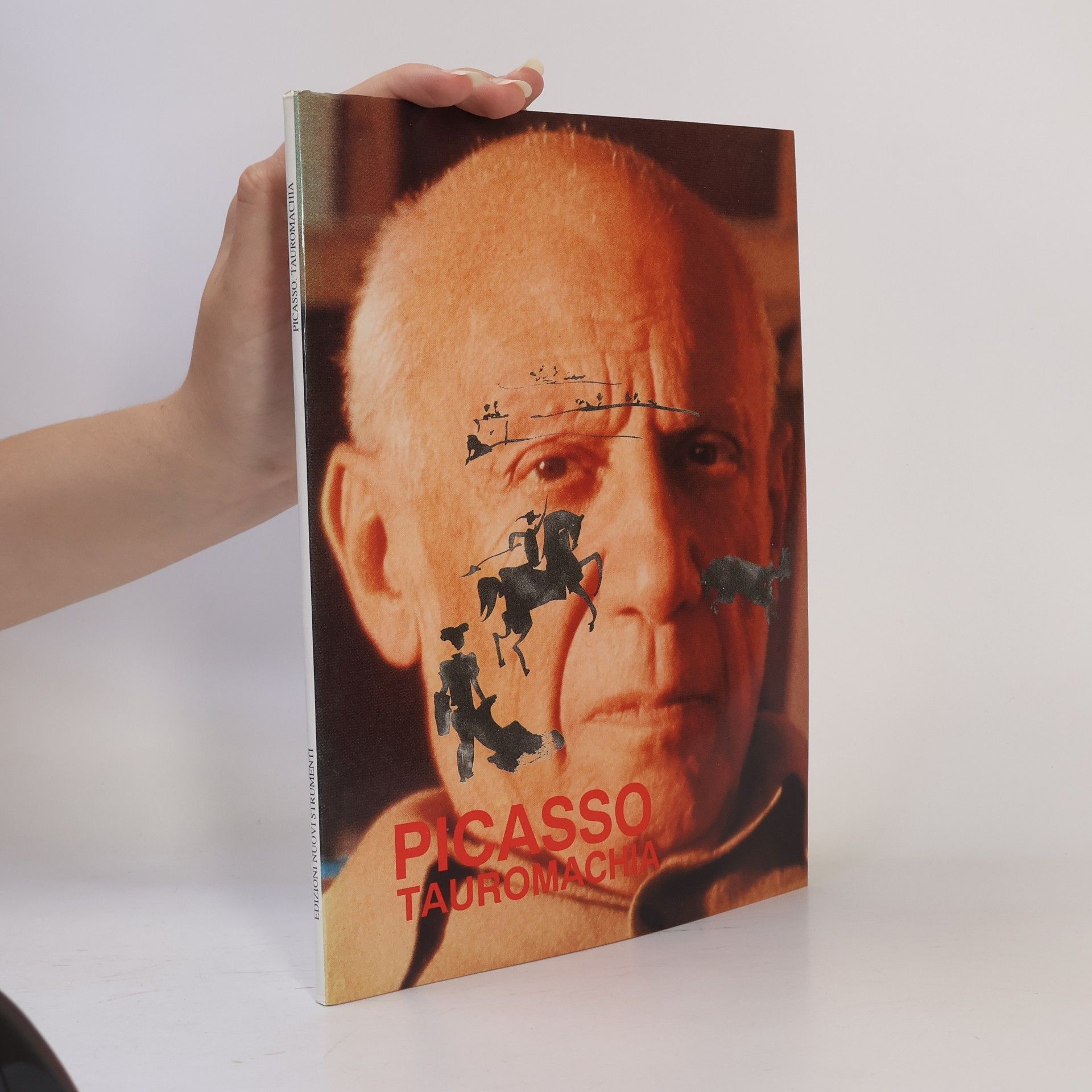Kolektív autorov Picasso Tauromachia