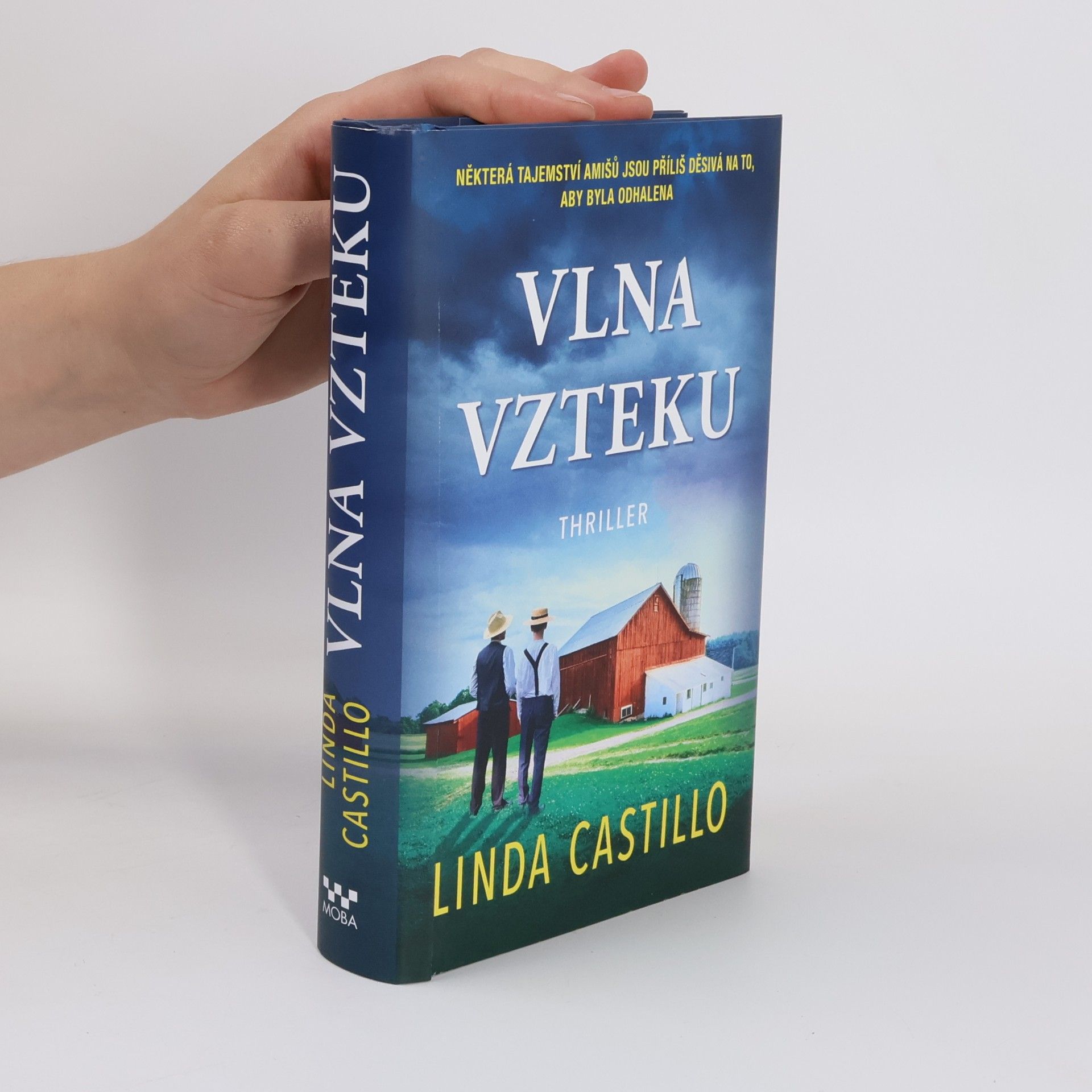 Vlna vzteku