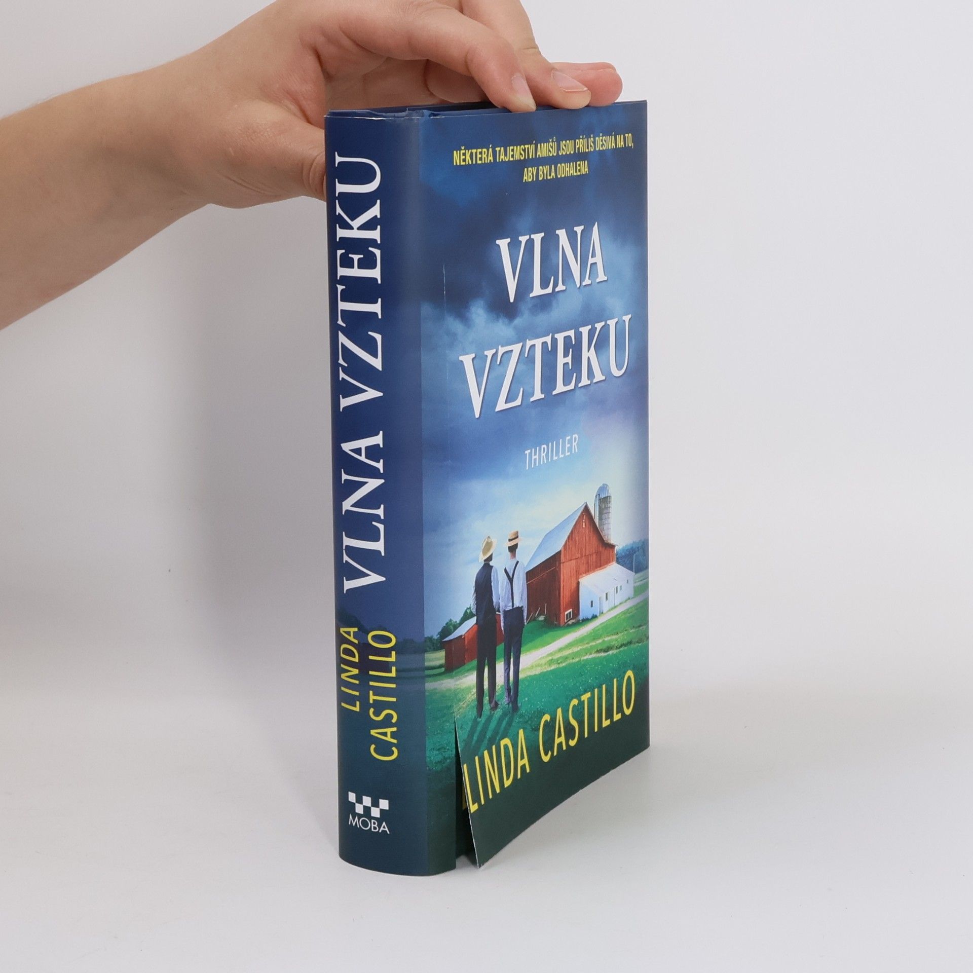 Linda Castillo Vlna vzteku