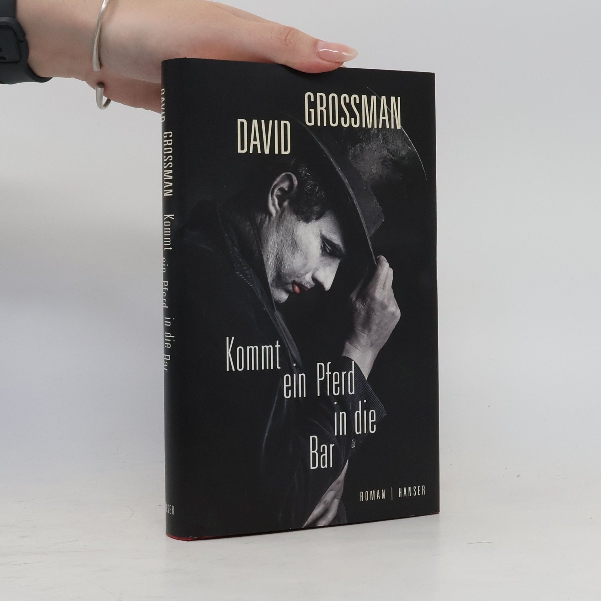 David Grossman Kommt ein Pferd in die Bar