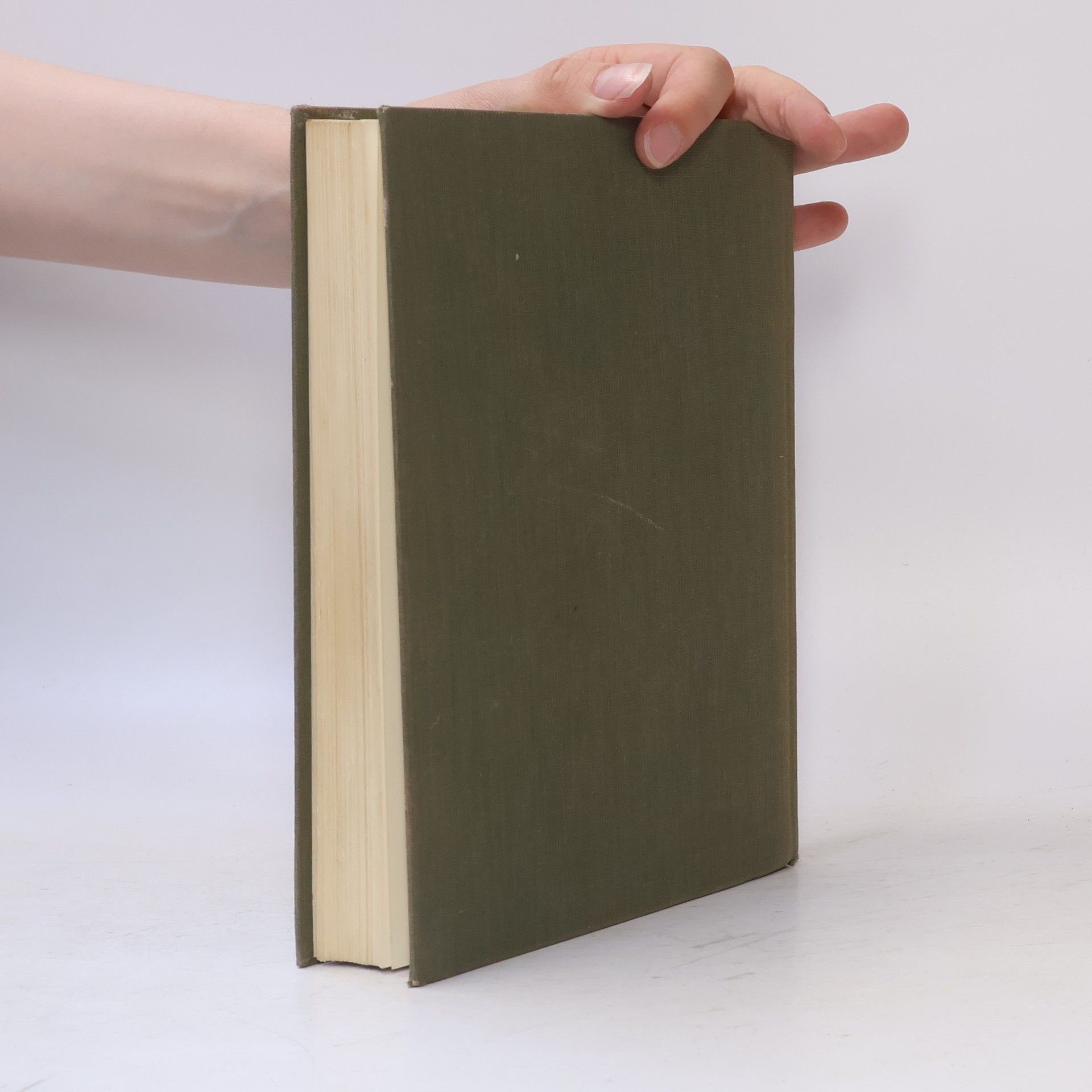 Franz Findeisen Ölhydraulik in Theorie und Anwendung
