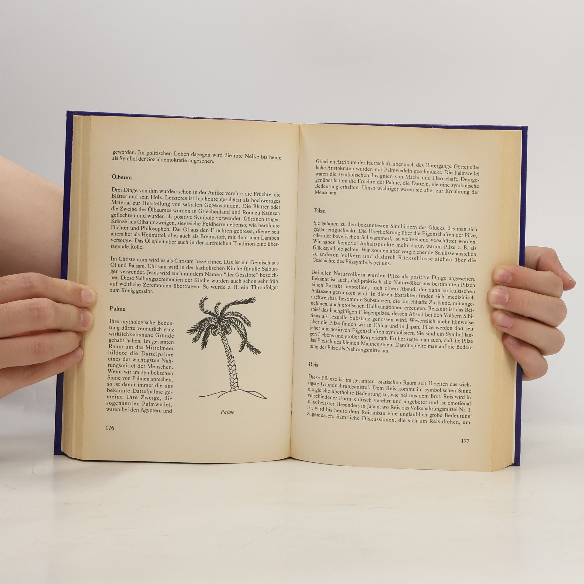 Heinz von Lichem Handbuch der Zahlen und Symbole
