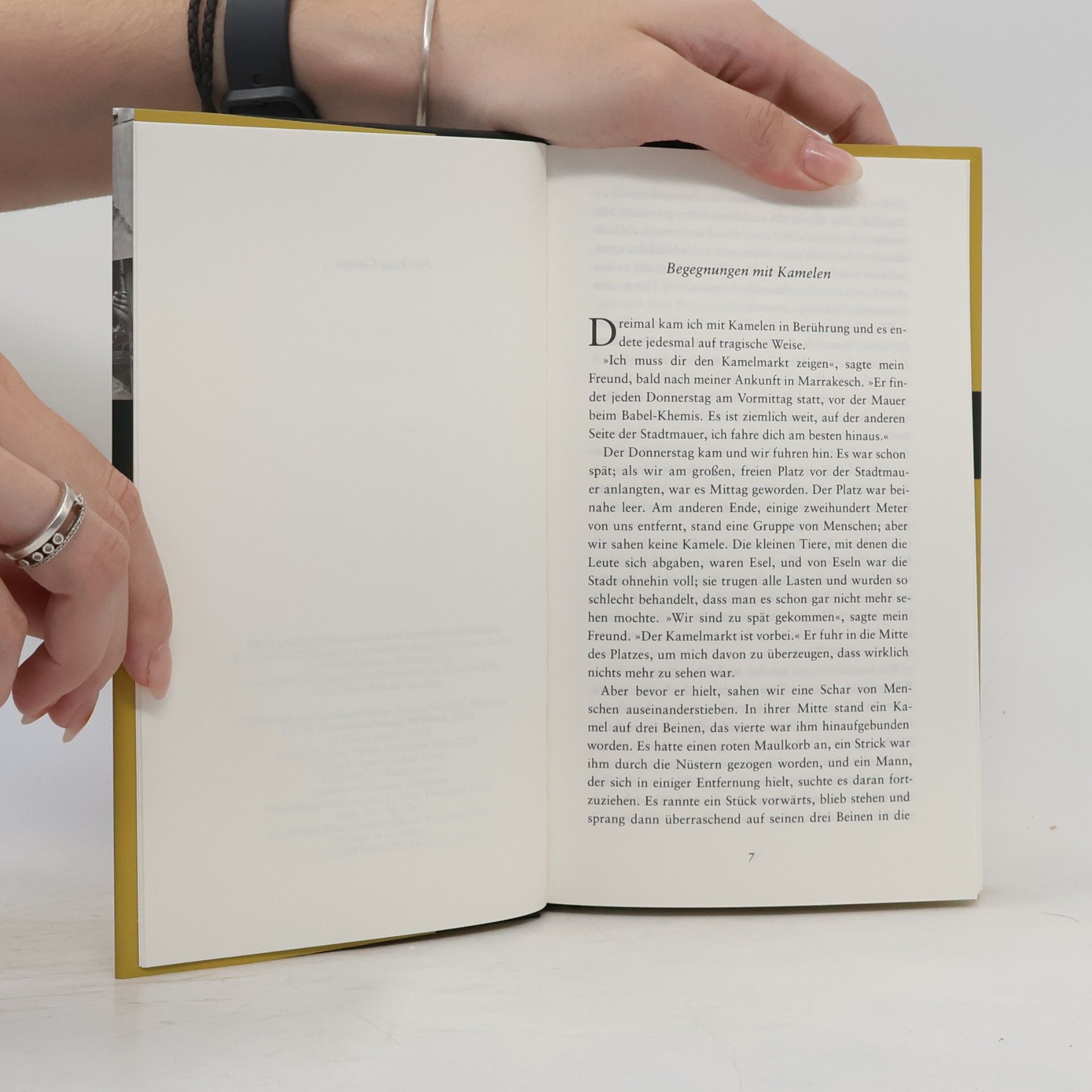 Elias Canetti Die Stimmen von Marrakesch