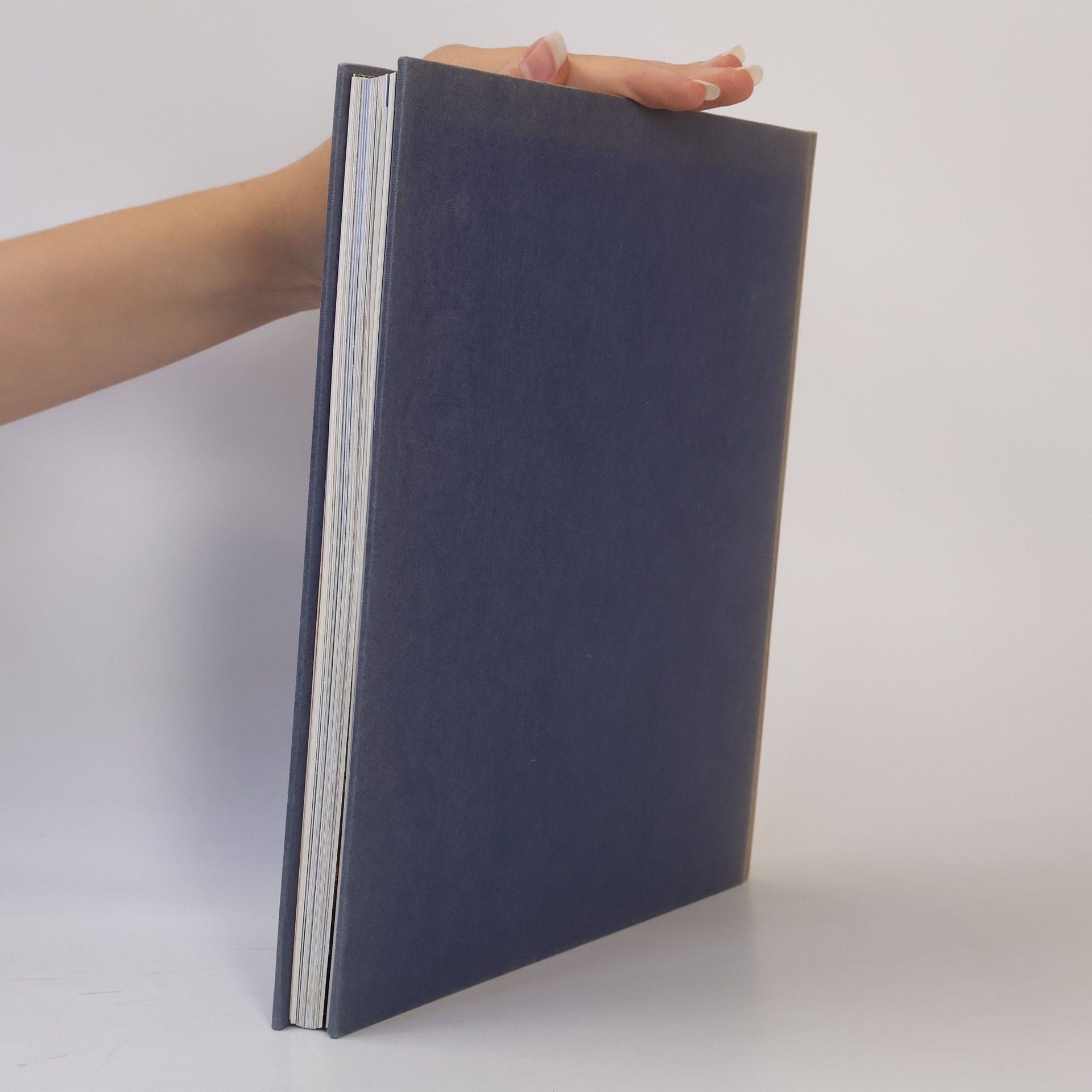 Siv Bublitz Die Welt der Rosamunde Pilcher