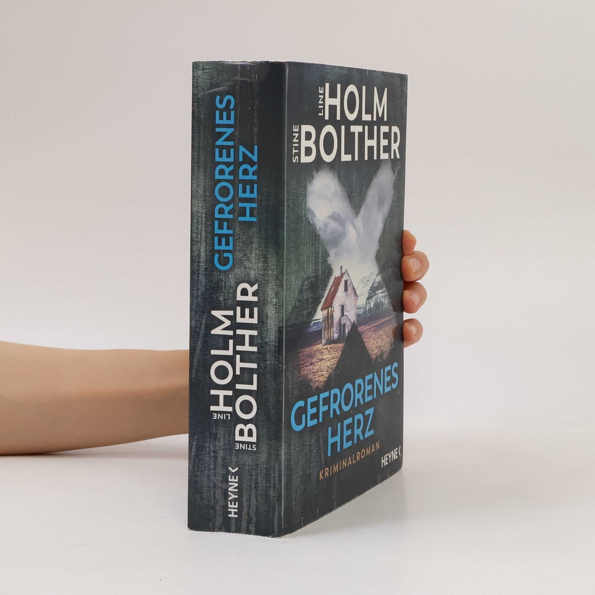 Stine Bolther Gefrorenes herz