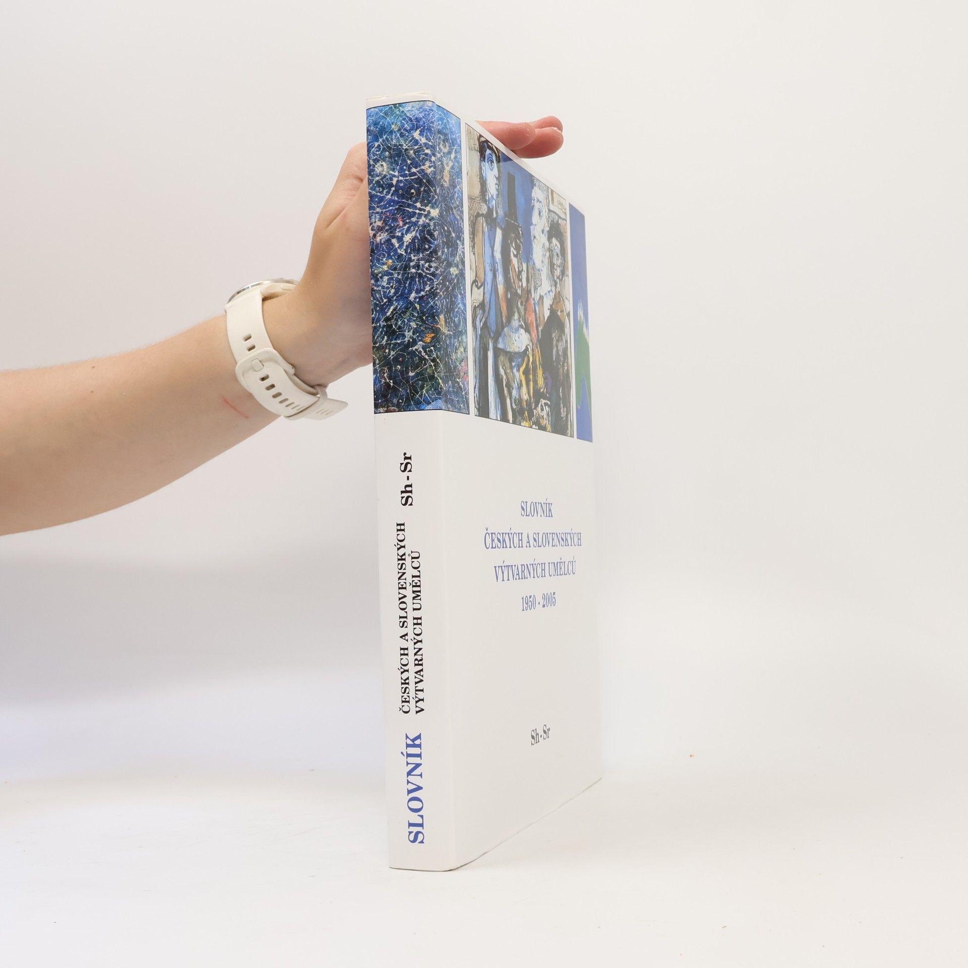 Autorenkollektiv Slovník českých a slovenských výtvarných umělců 1950 - 2005 Sh-Sr